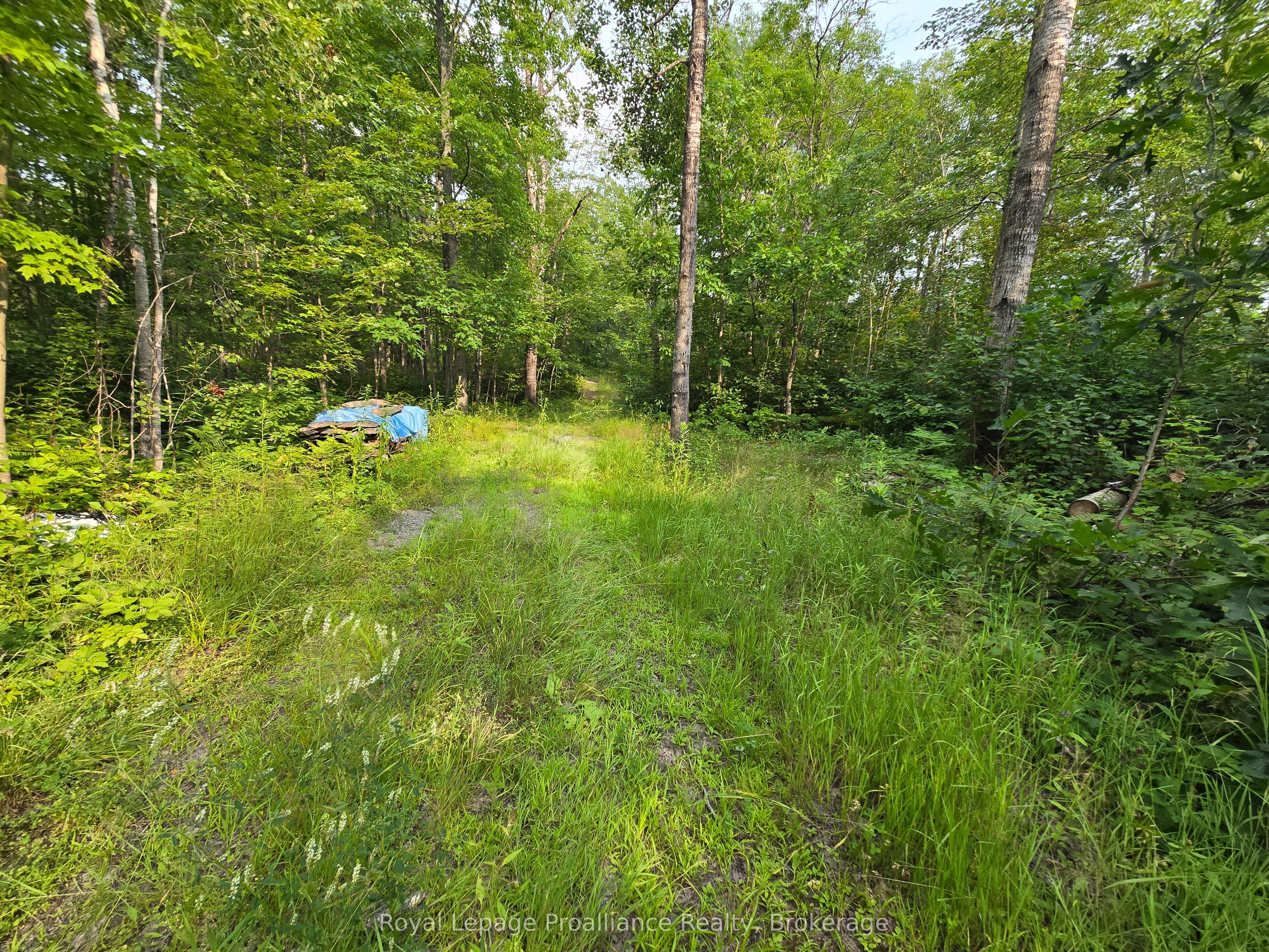 1446 Flinton Road Property Photo 3