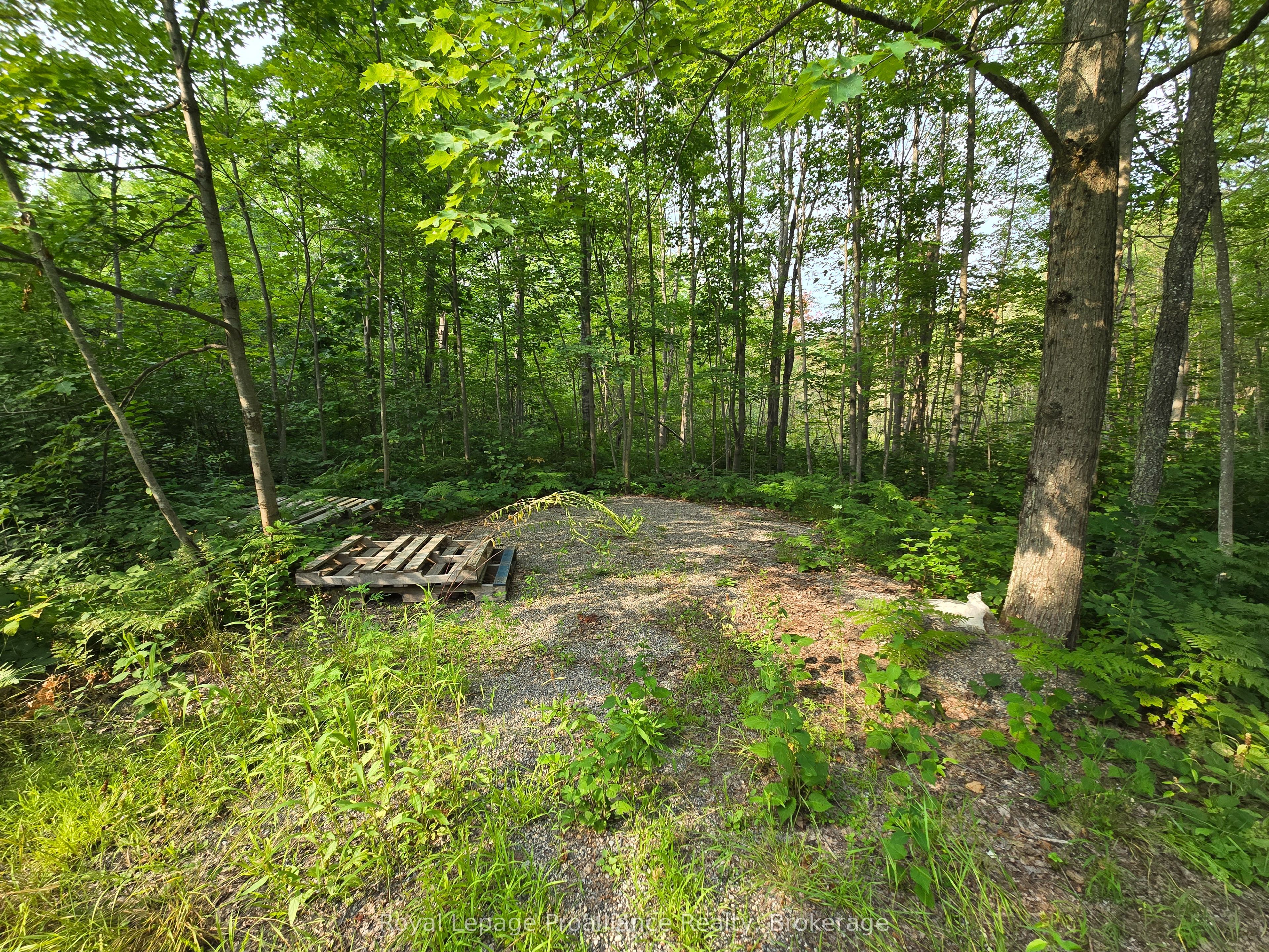 1446 Flinton Road Property Photo 4