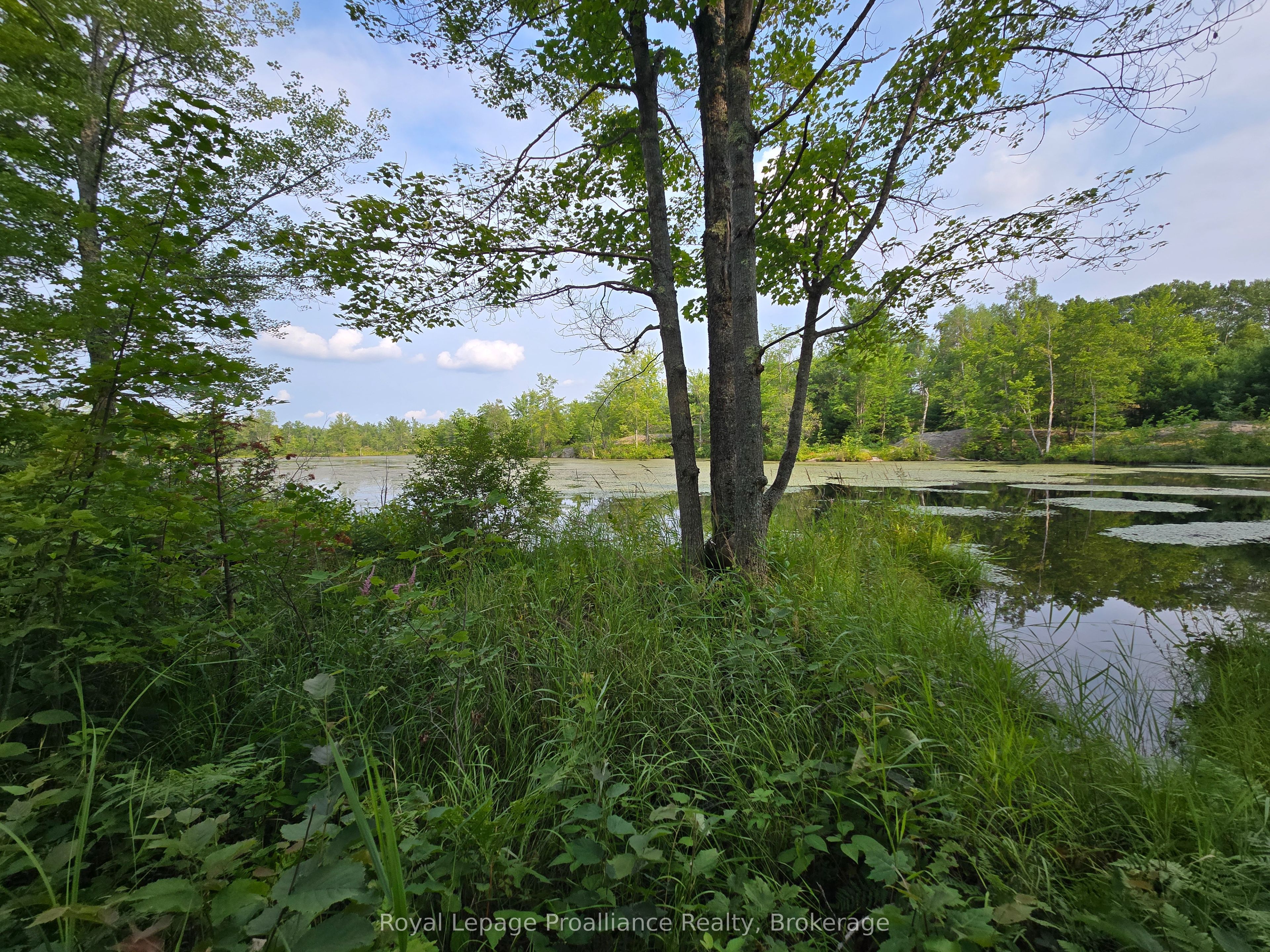1446 Flinton Road Property Photo 7
