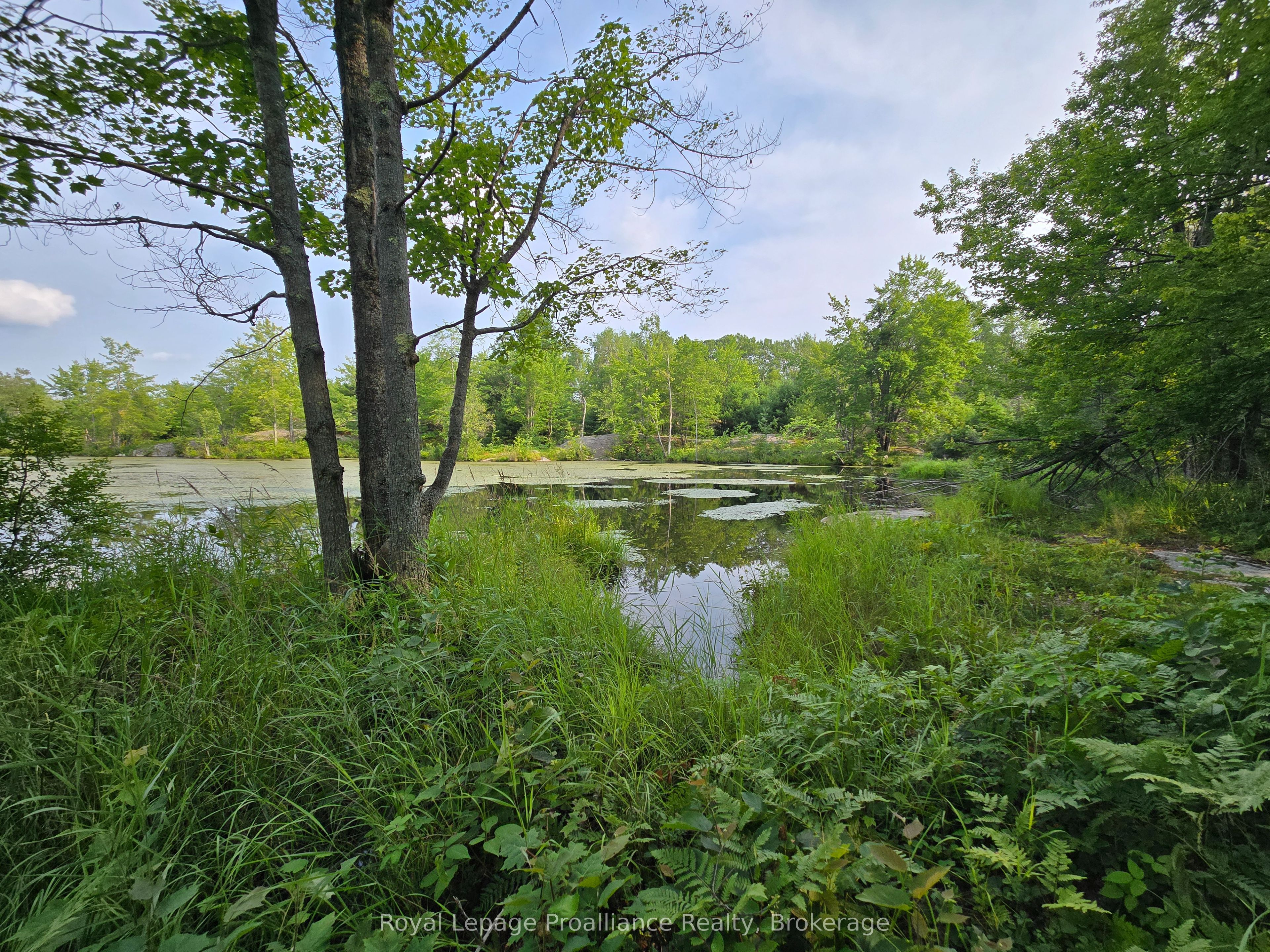 1446 Flinton Road Property Photo 8
