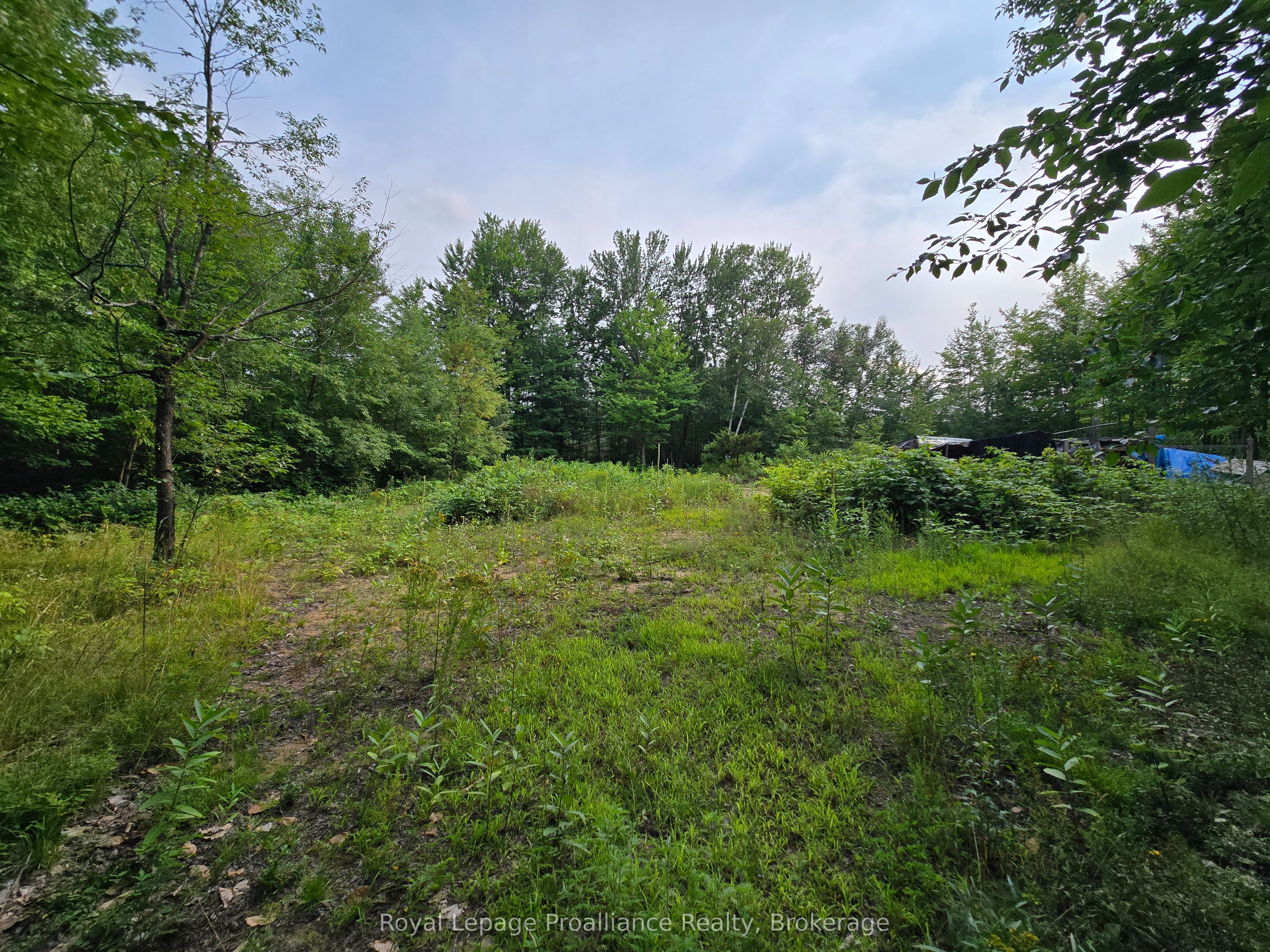 1446 Flinton Road Property Photo 12