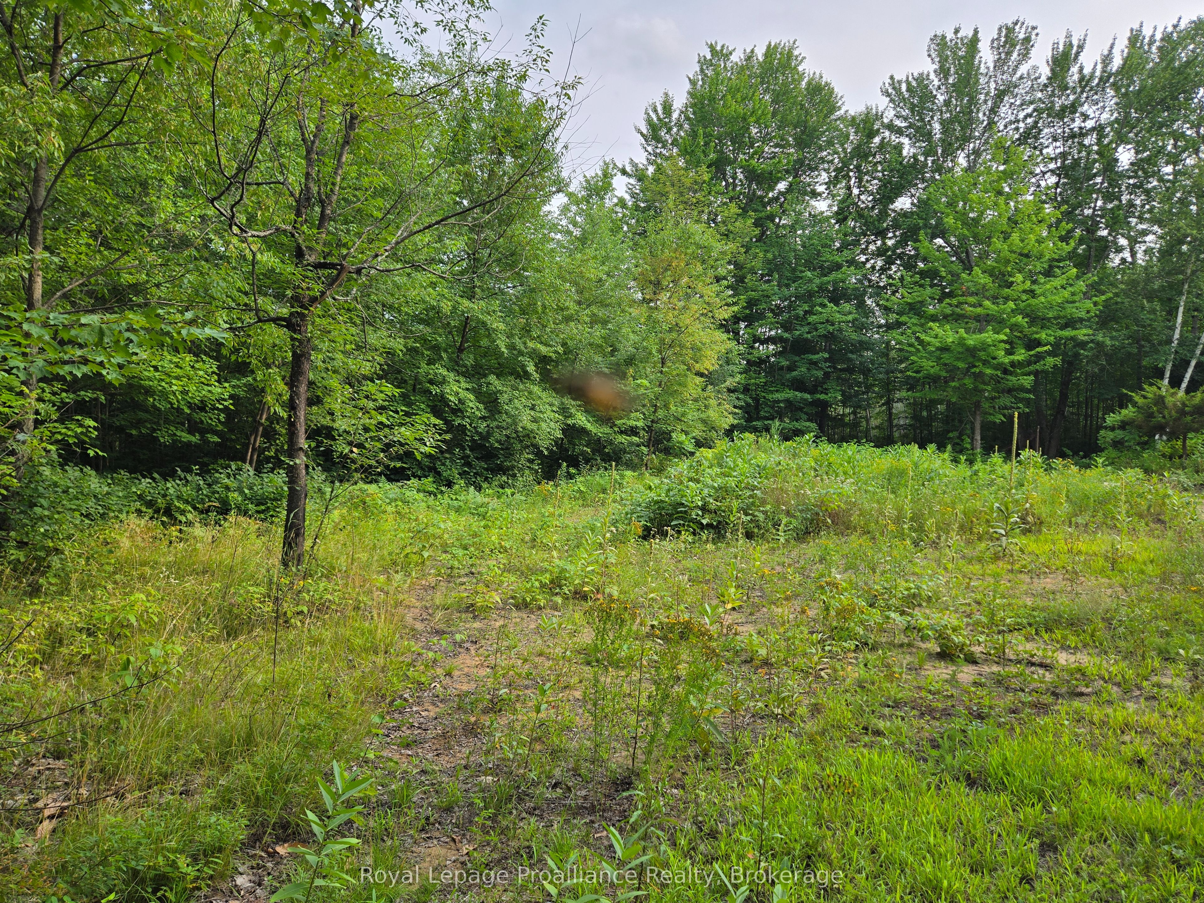 1446 Flinton Road Property Photo 13