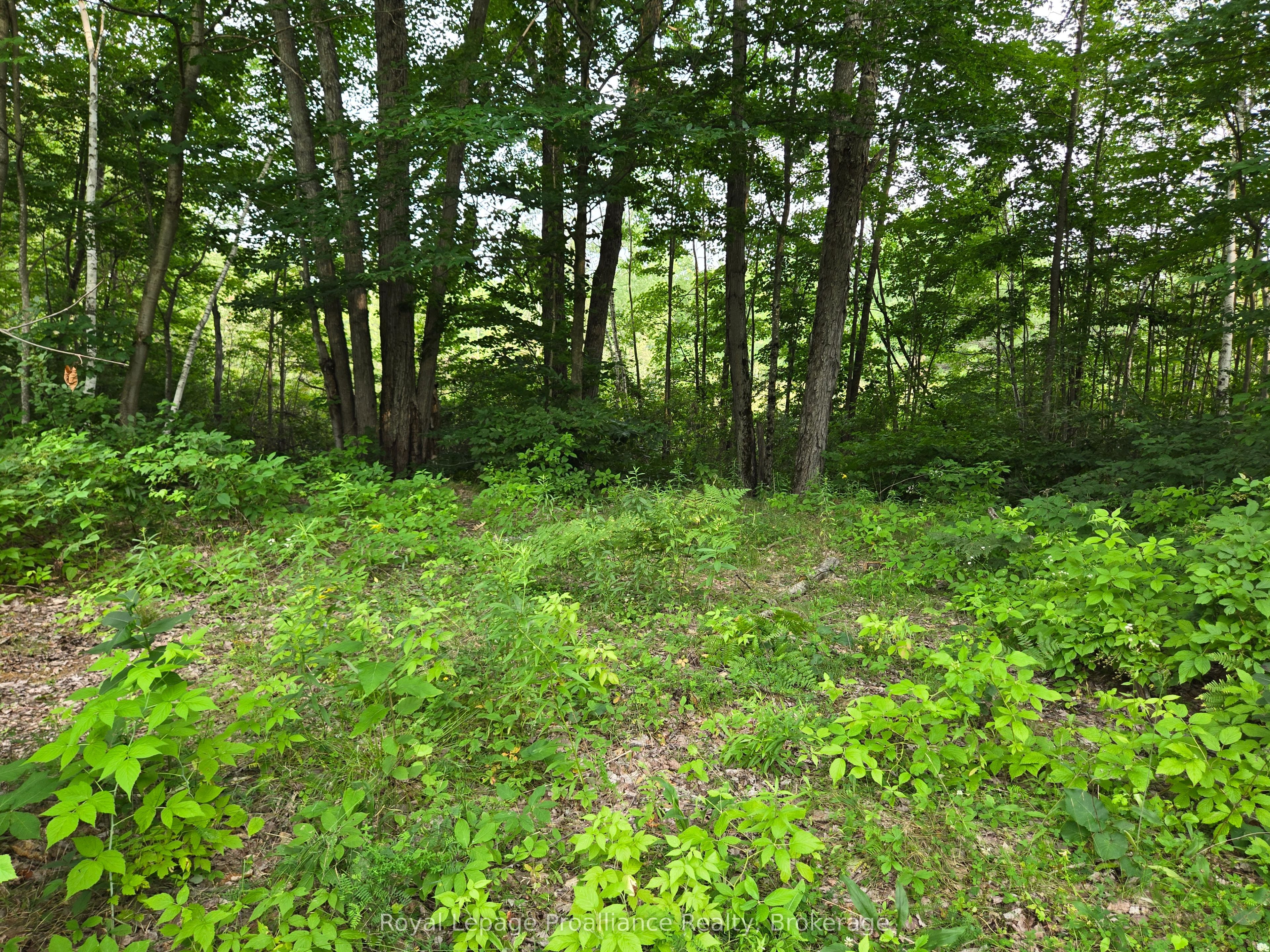 1446 Flinton Road Property Photo 14