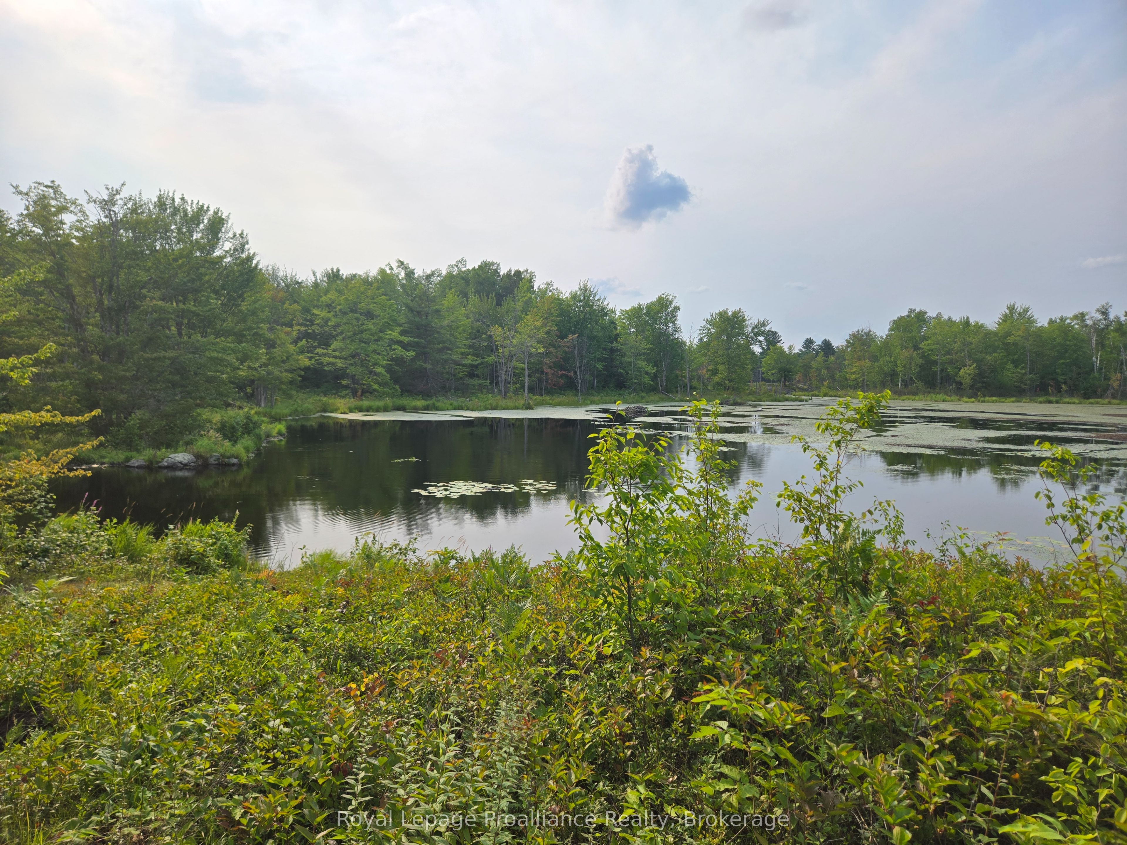 1446 Flinton Road Property Photo 18