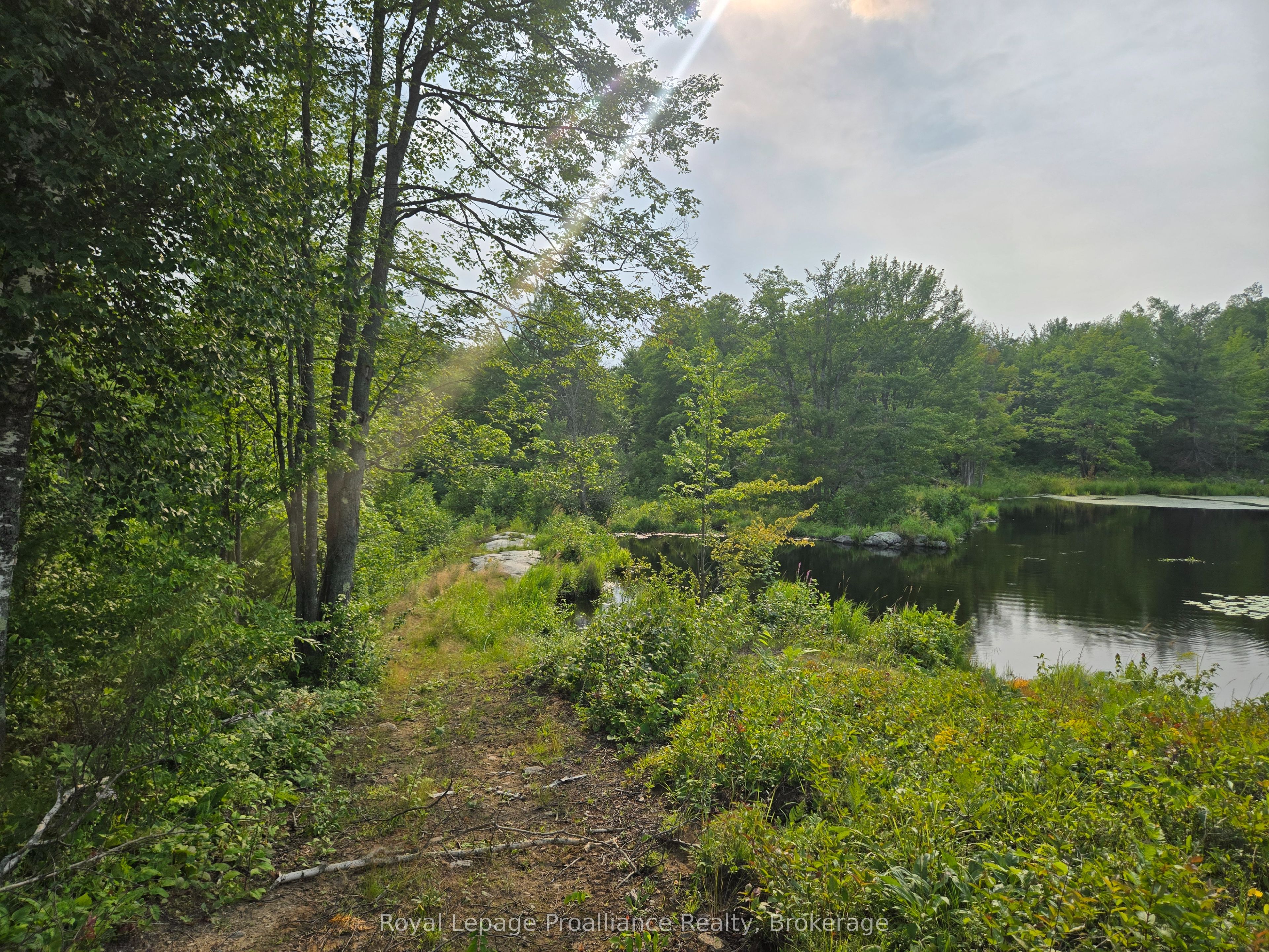 1446 Flinton Road Property Photo 19