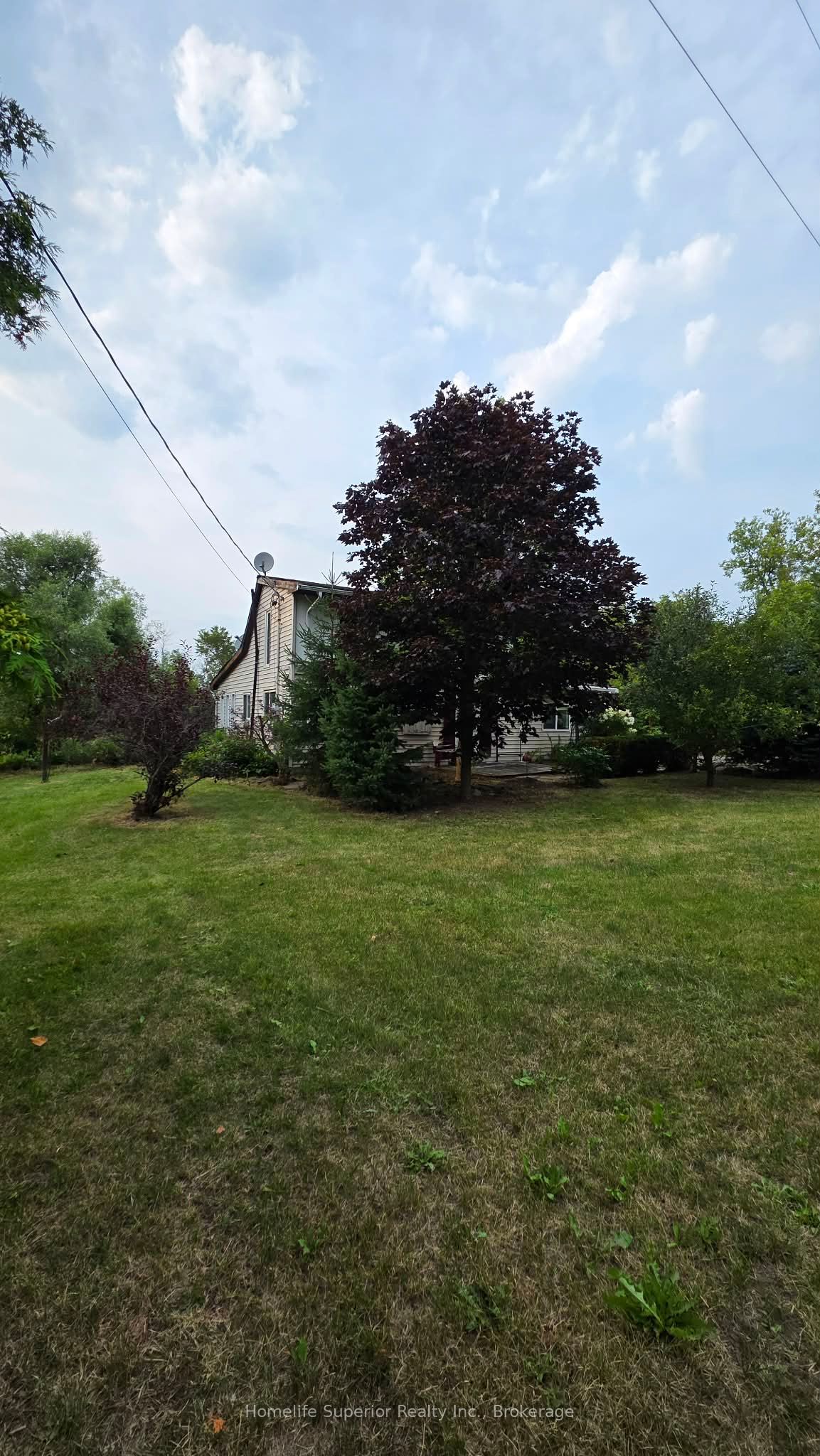 2632 Dummer Asphodel Road Property Photo 20