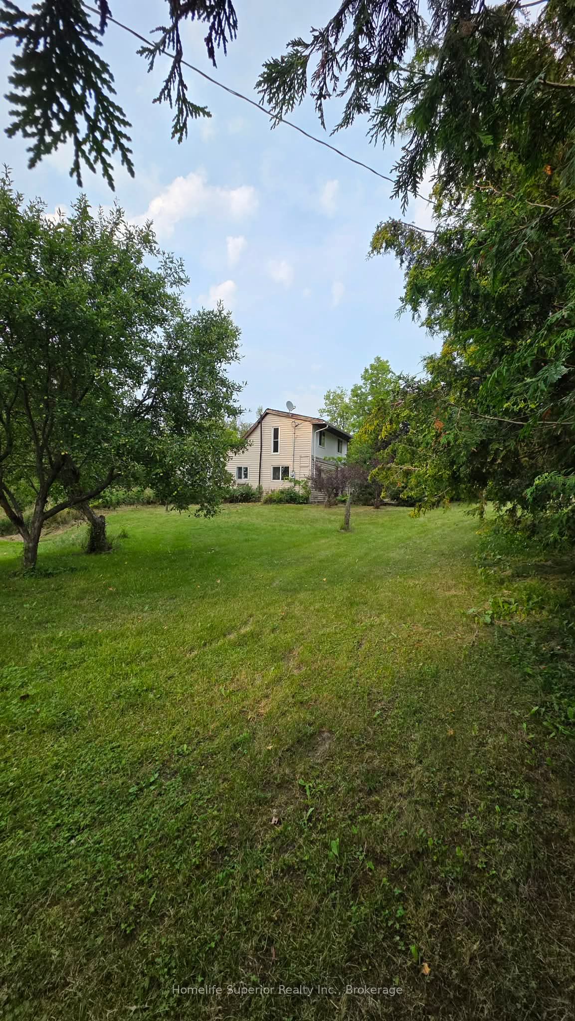 2632 Dummer Asphodel Road Property Photo 22