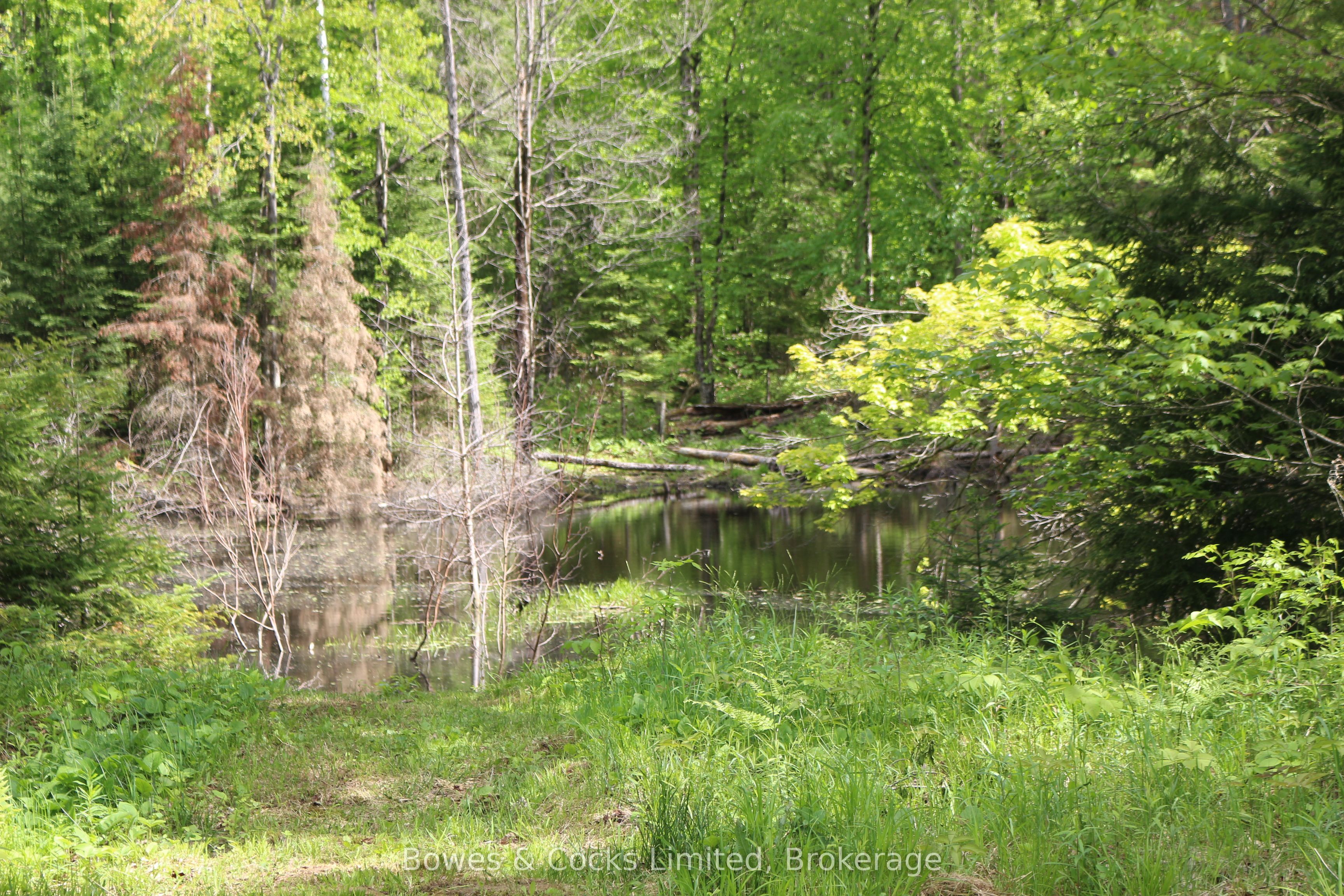 1801 Bordenwood Road Property Photo 14