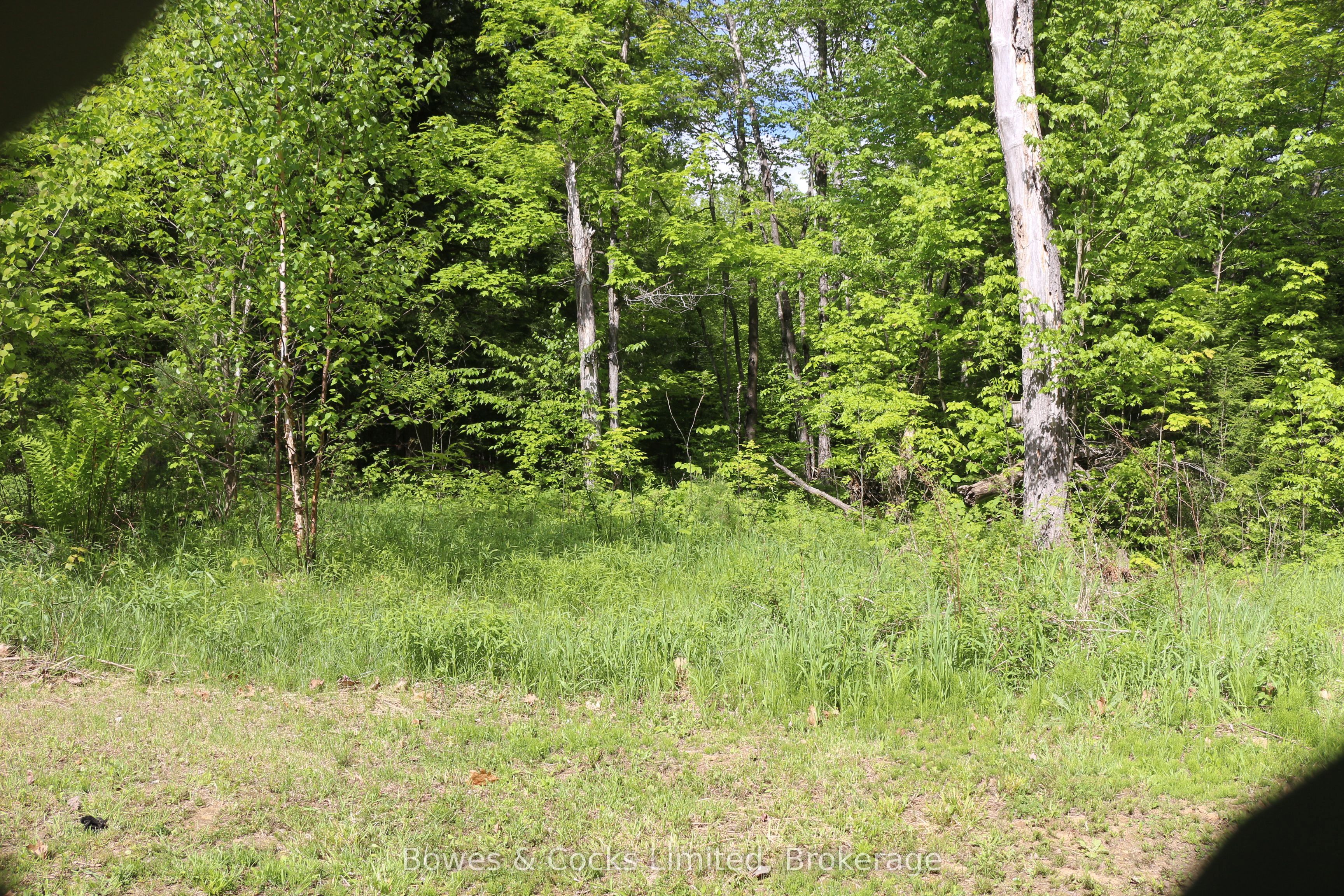 1801 Bordenwood Road Property Photo 18