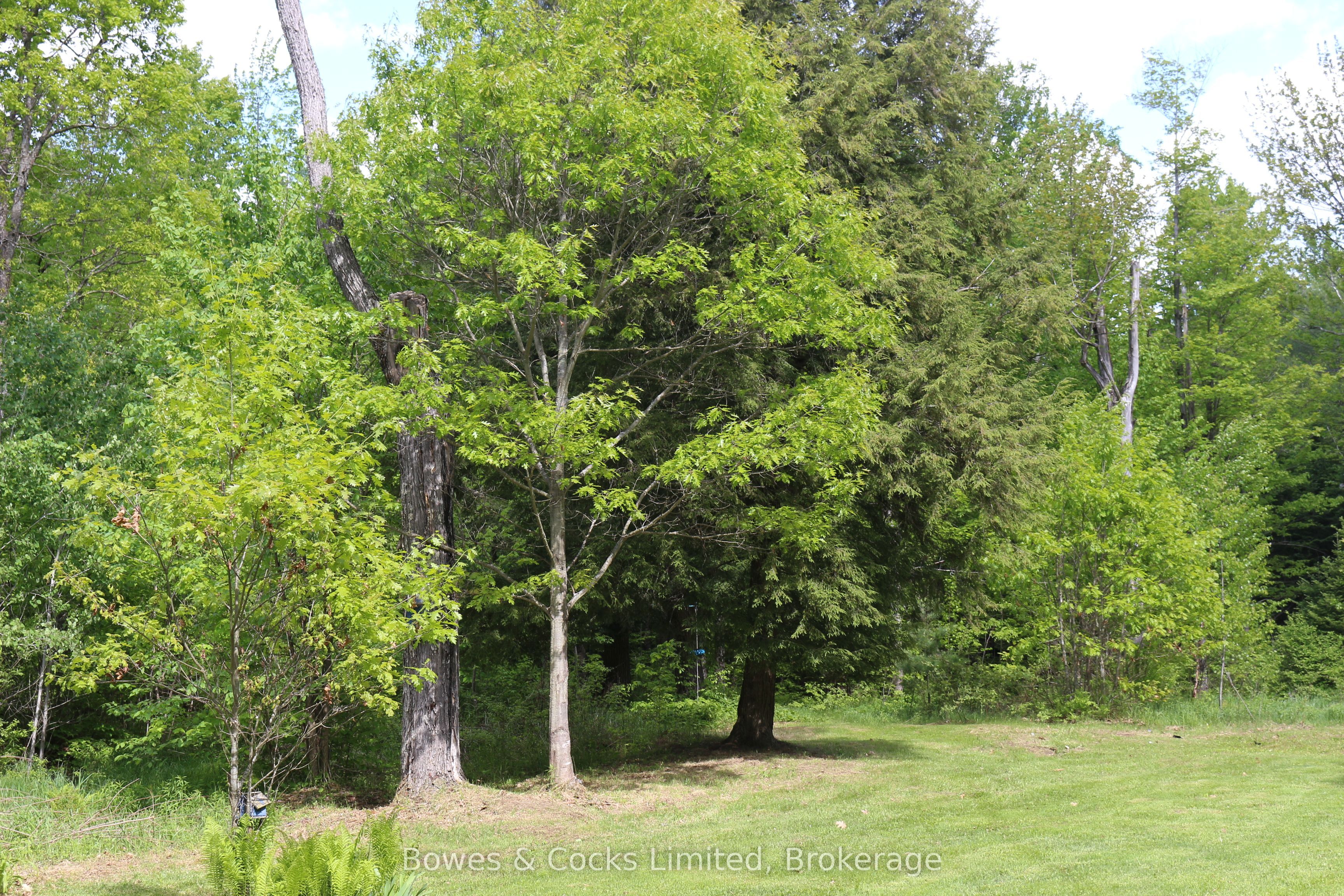 1801 Bordenwood Road Property Photo 37