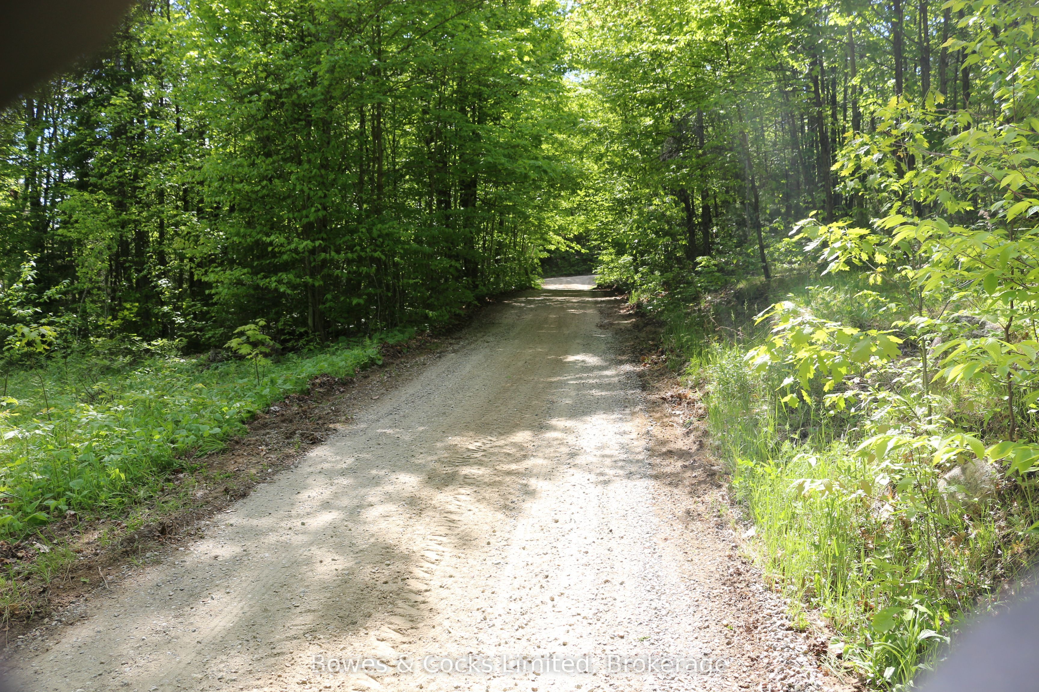 1801 Bordenwood Road Property Photo 43