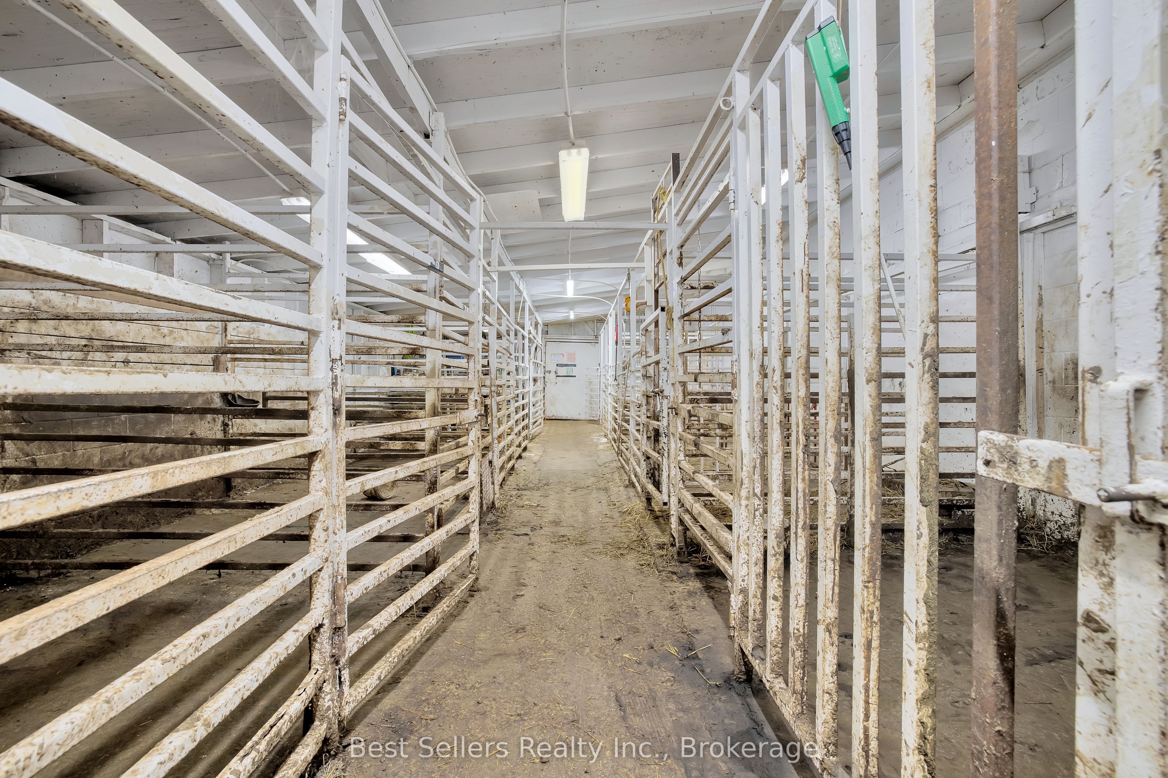 4049 Bonneau Line Property Photo 18
