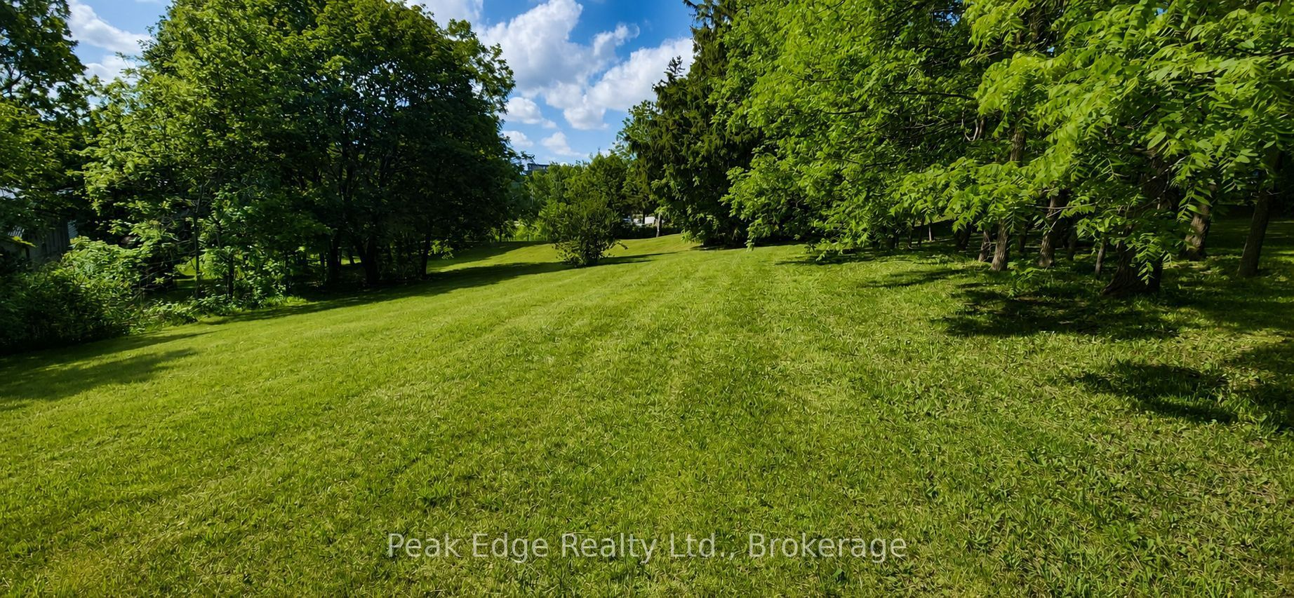 4 George Street Property Photo 34