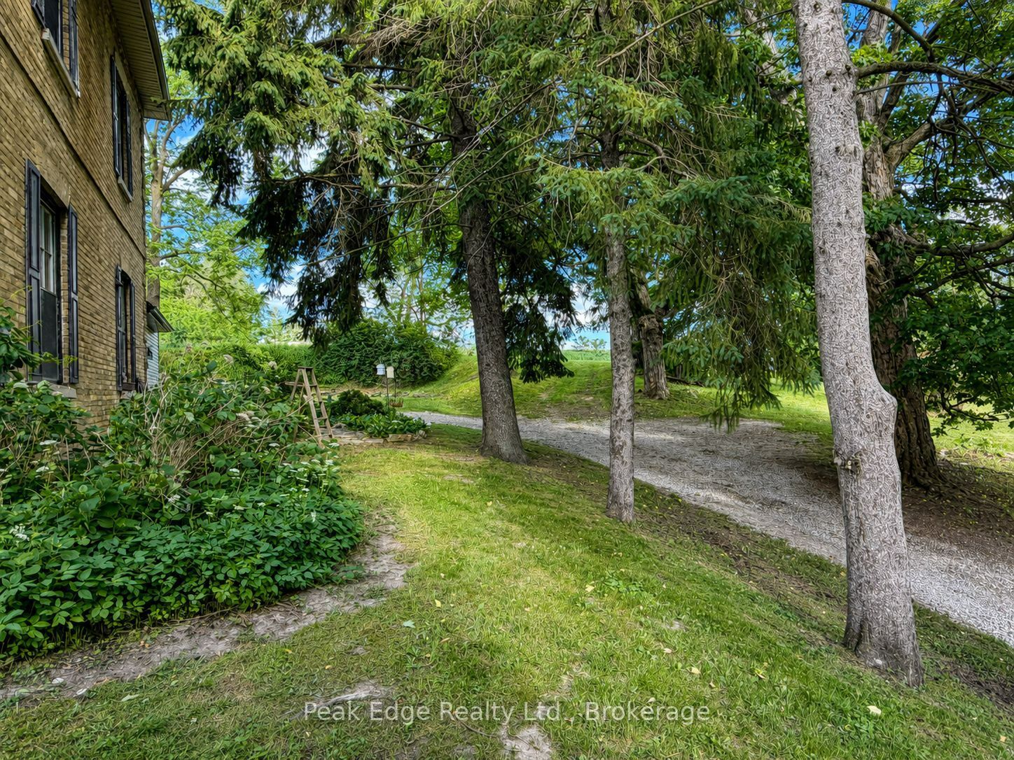 4 George Street Property Photo 38