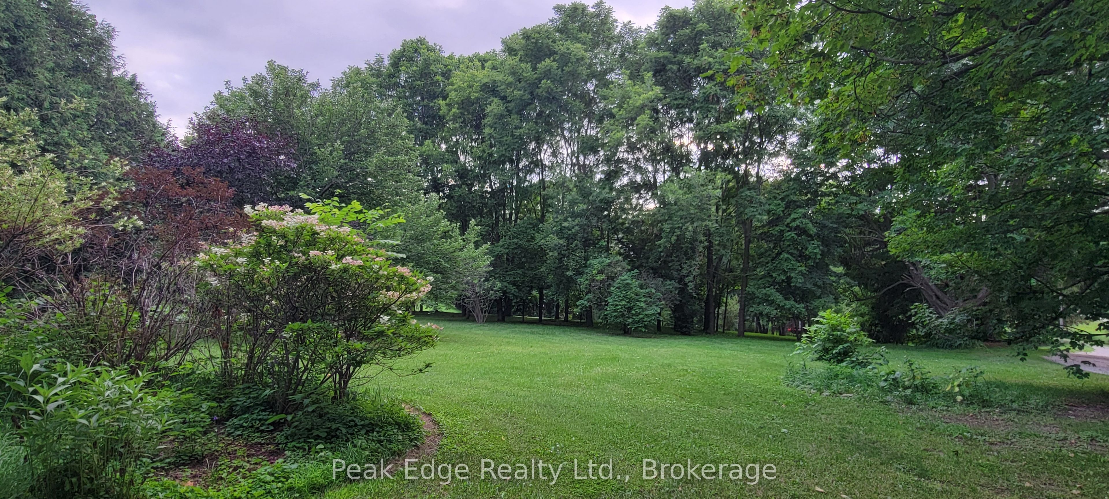4 George Street Property Photo 43