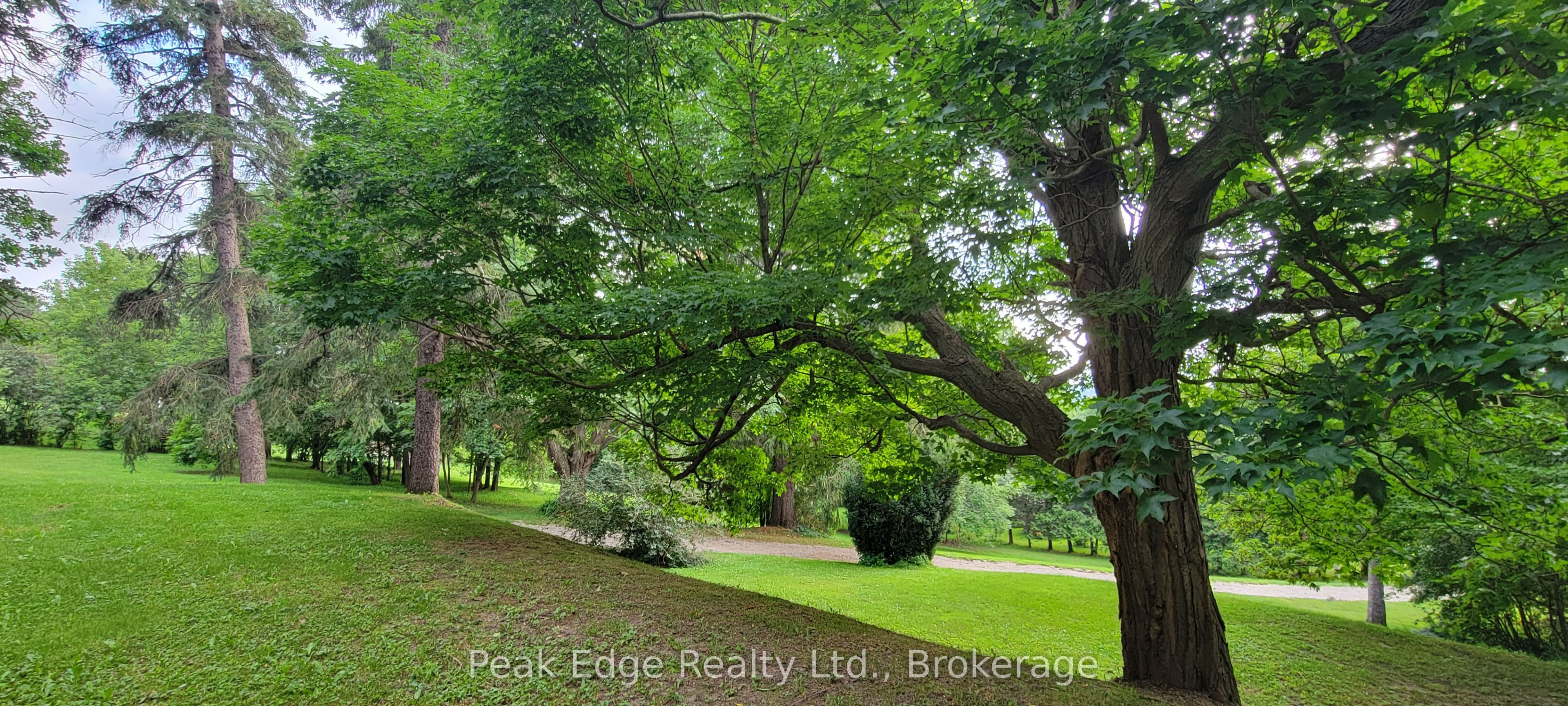 4 George Street Property Photo 45