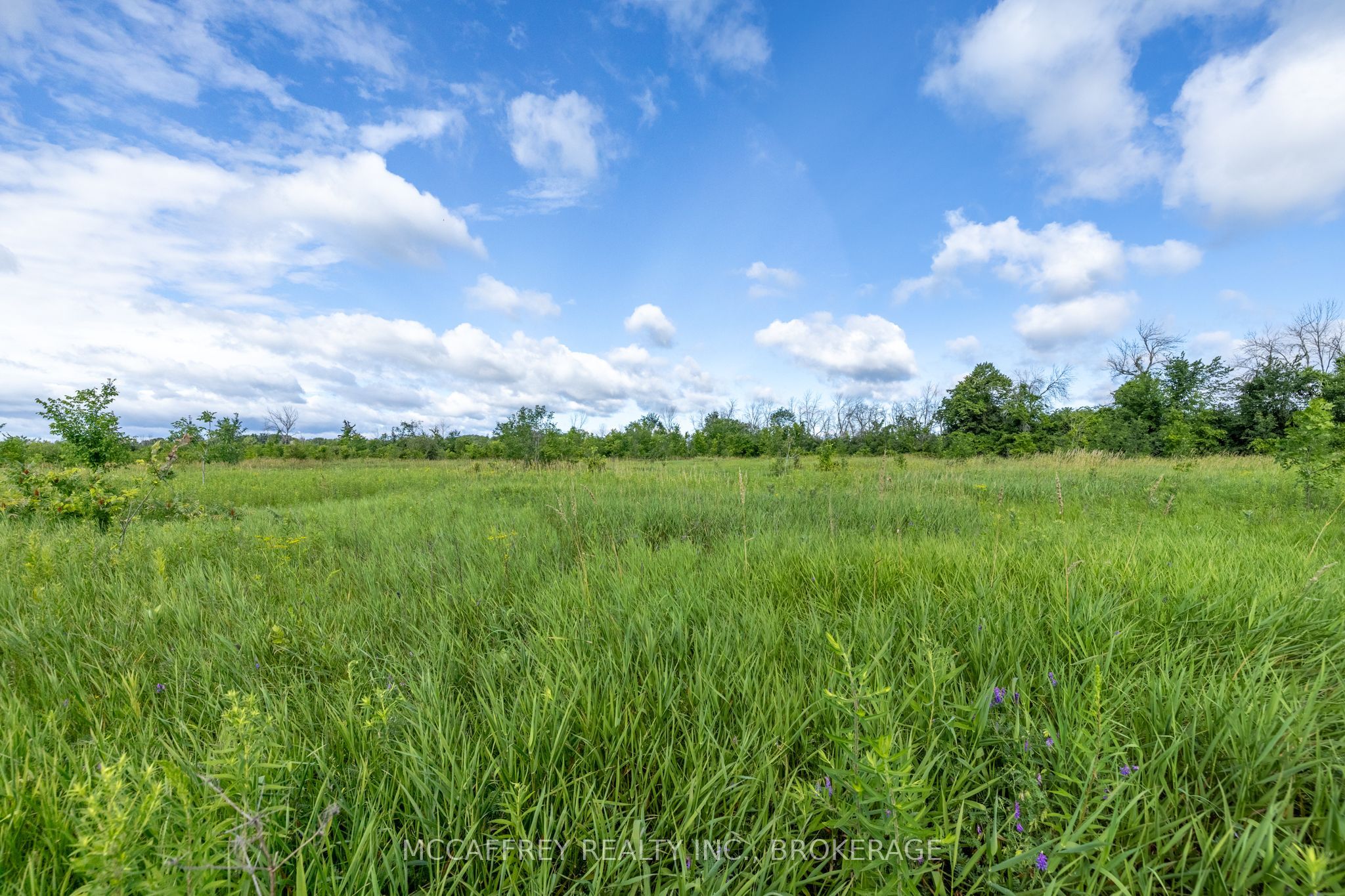 00 County Rd 8 Property Photo 8