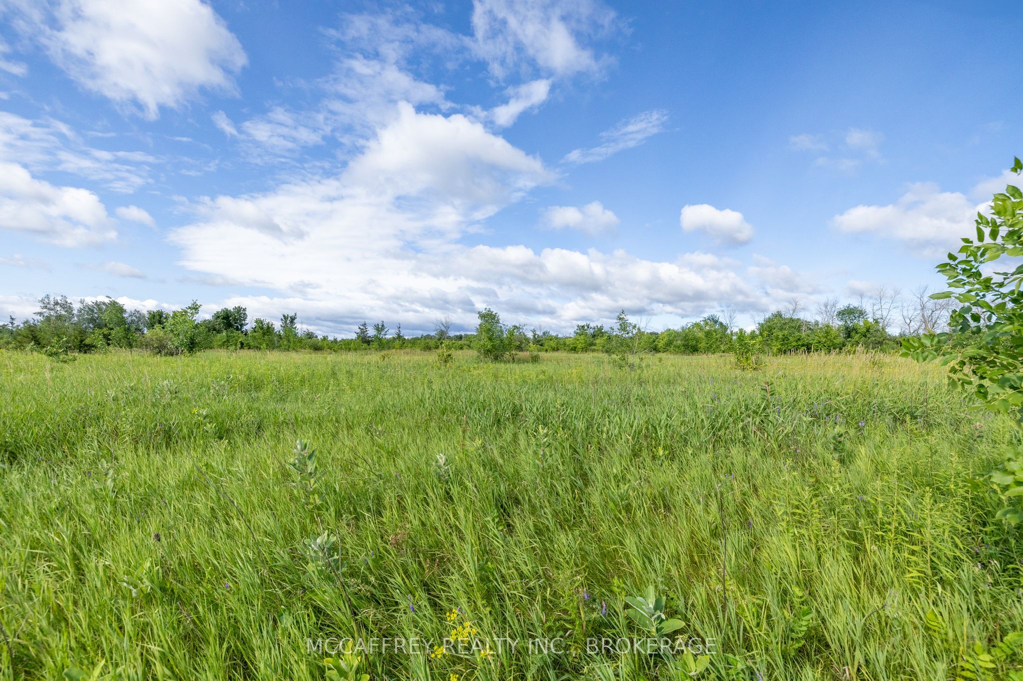 00 County Rd 8 Property Photo 10