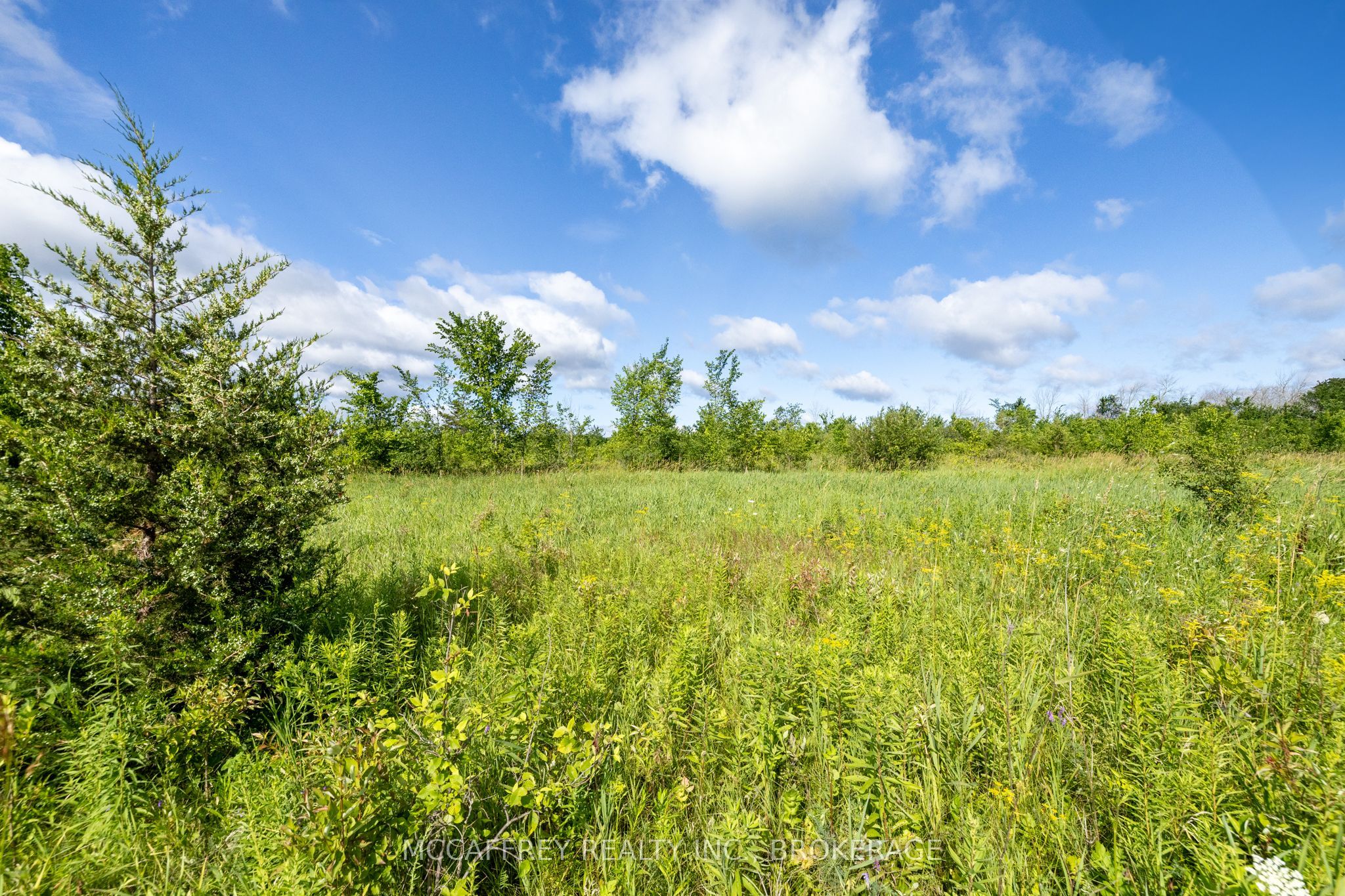 00 County Rd 8 Property Photo 15