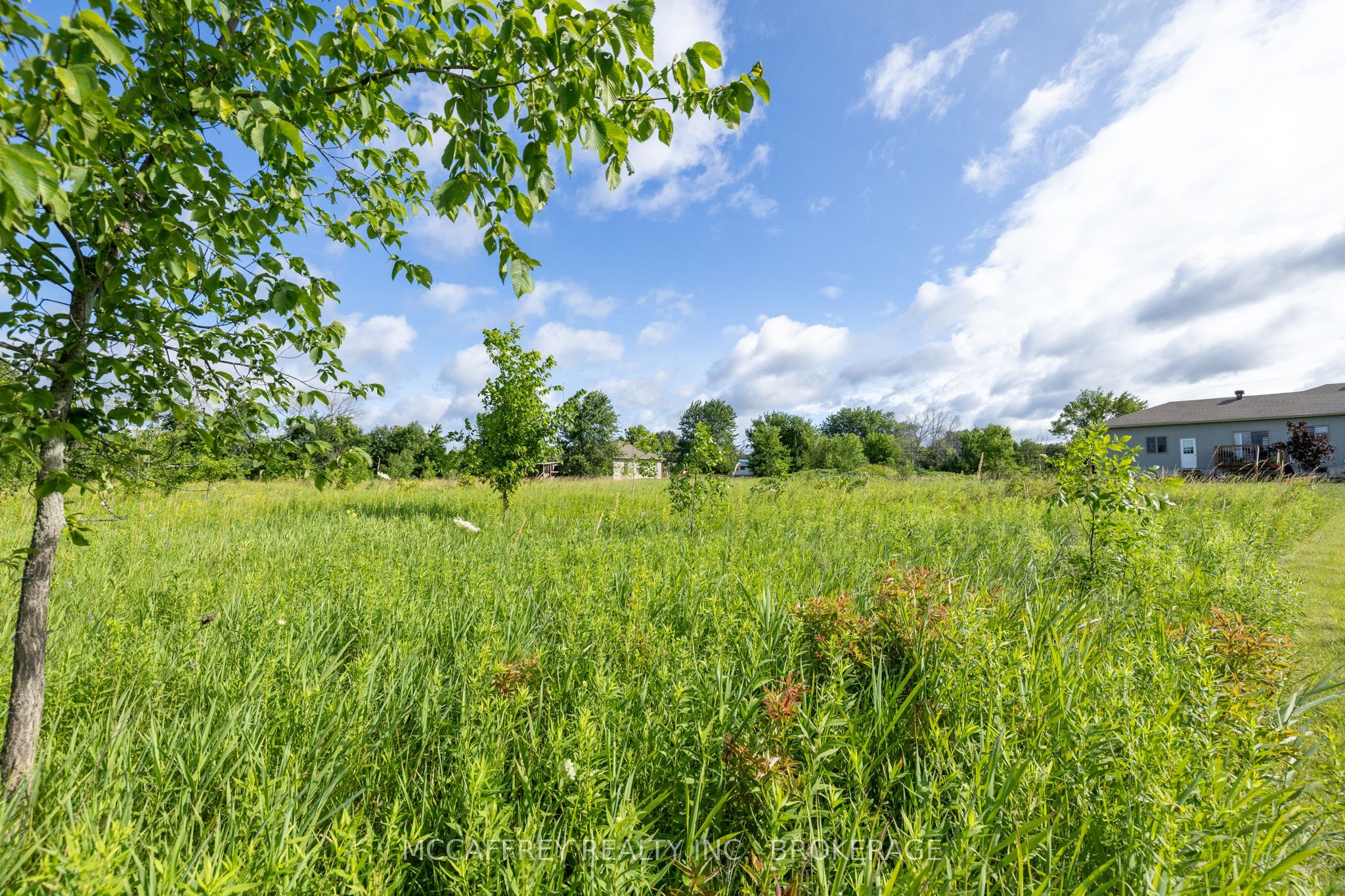 00 County Rd 8 Property Photo 16