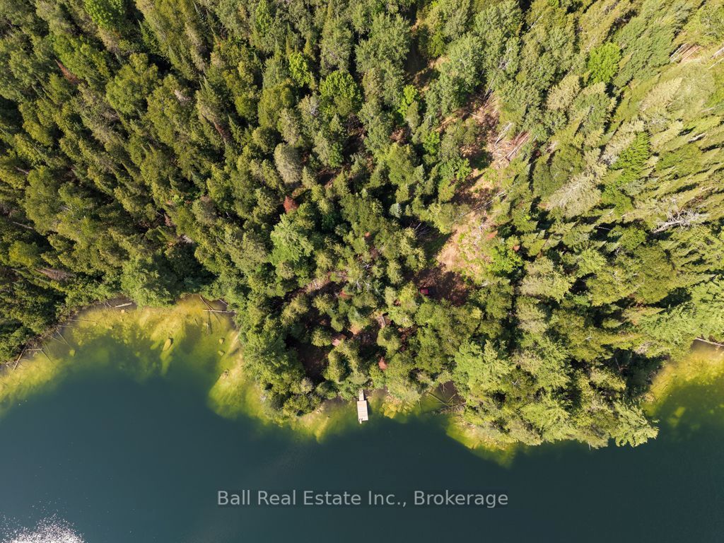 382 Old Detlor Road Property Photo 2