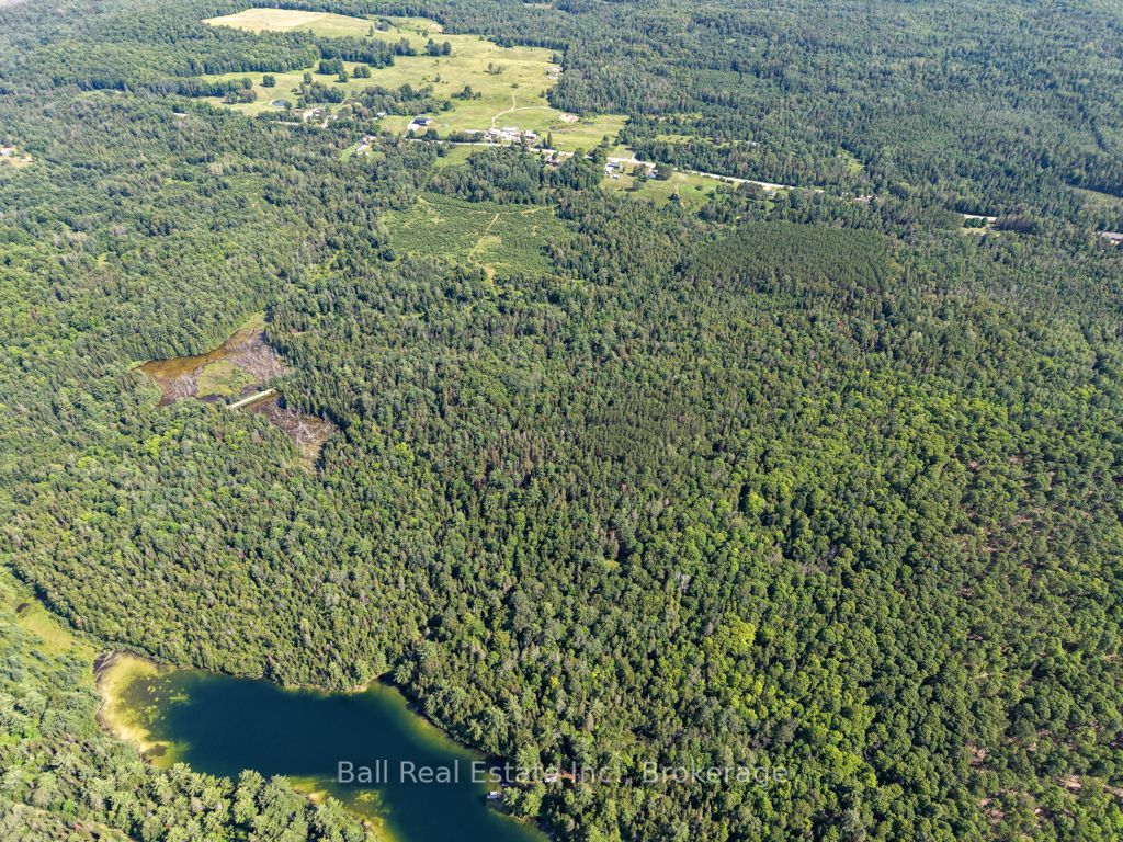 382 Old Detlor Road Property Photo 11
