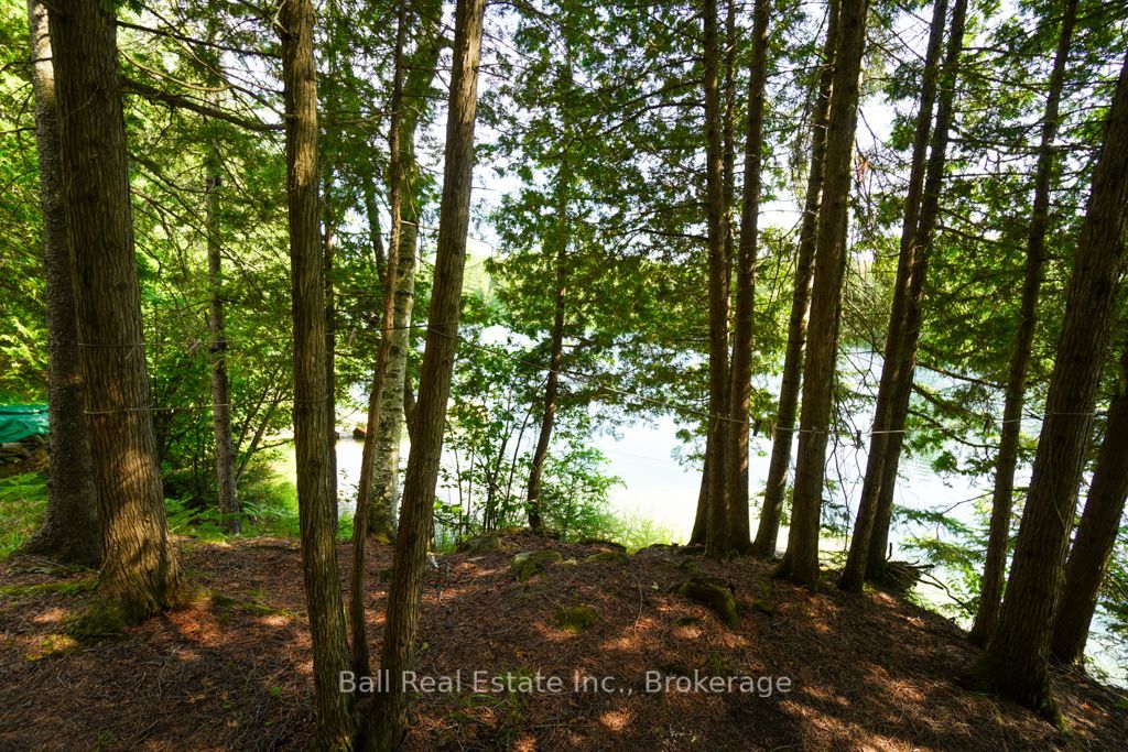 382 Old Detlor Road Property Photo 36