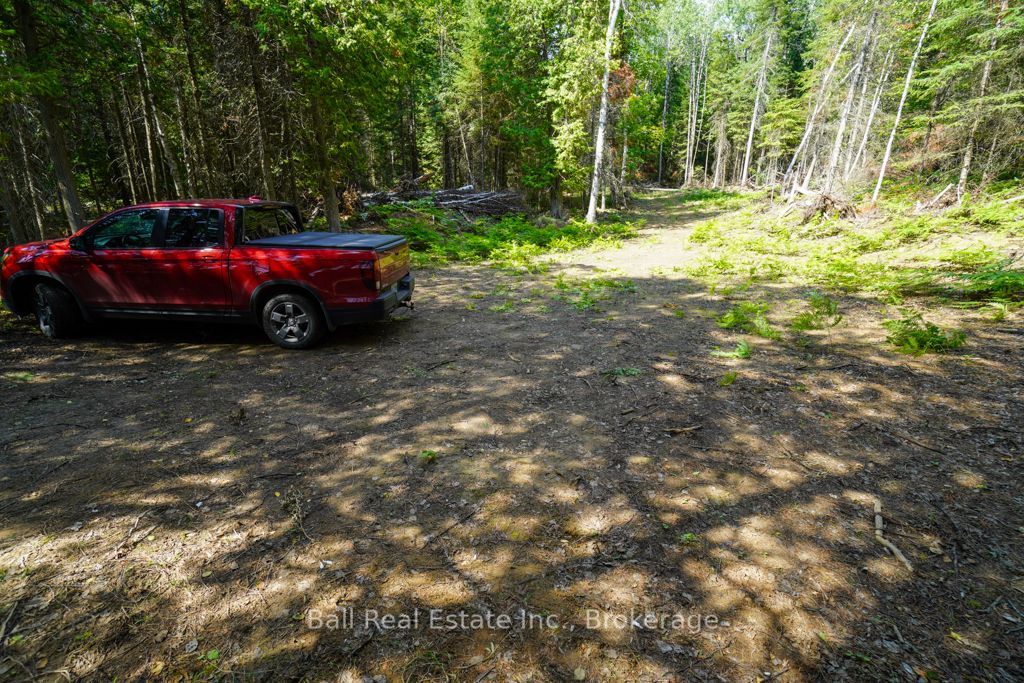 382 Old Detlor Road Property Photo 43