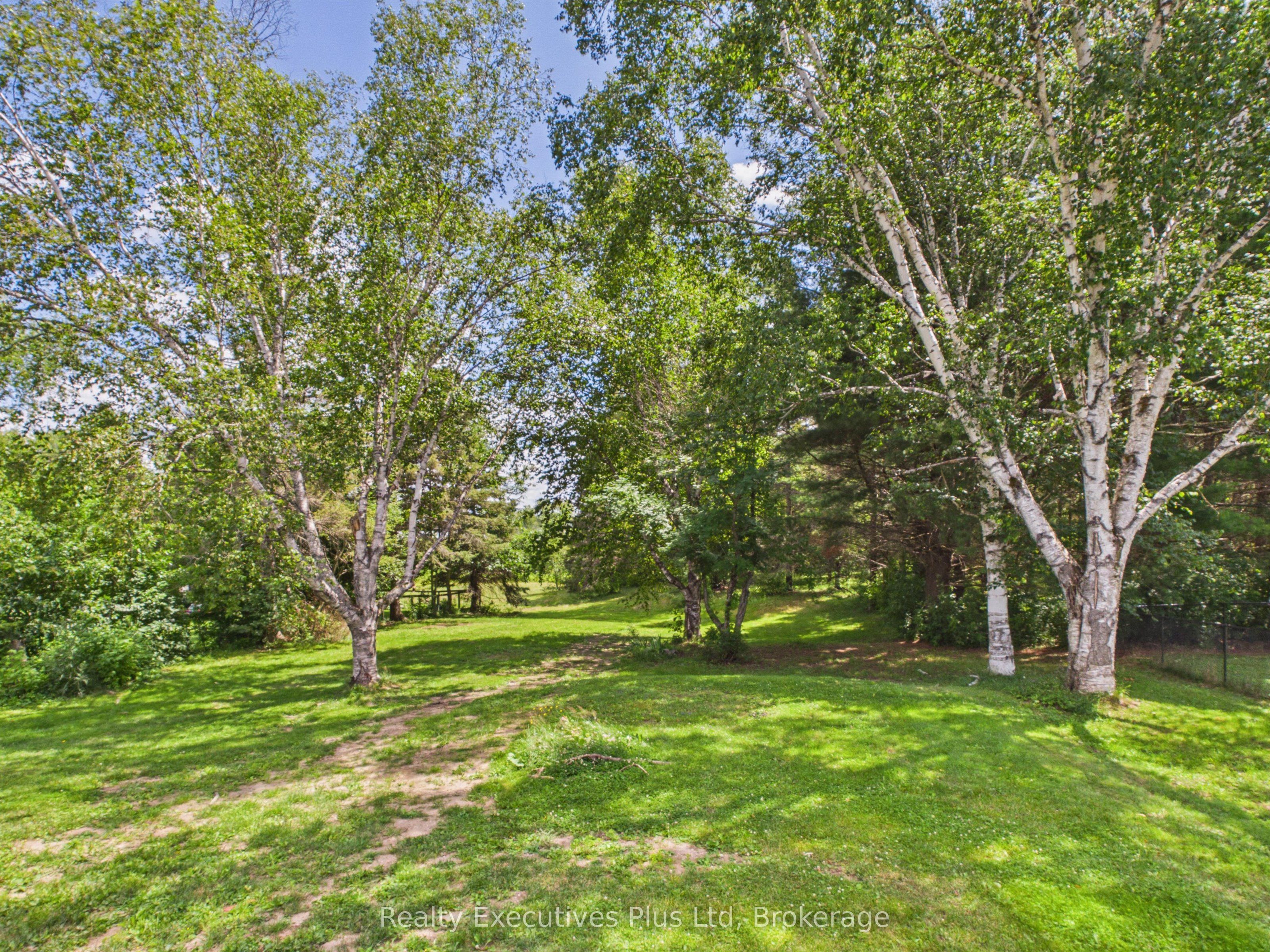 29 Queen Street Property Photo 45
