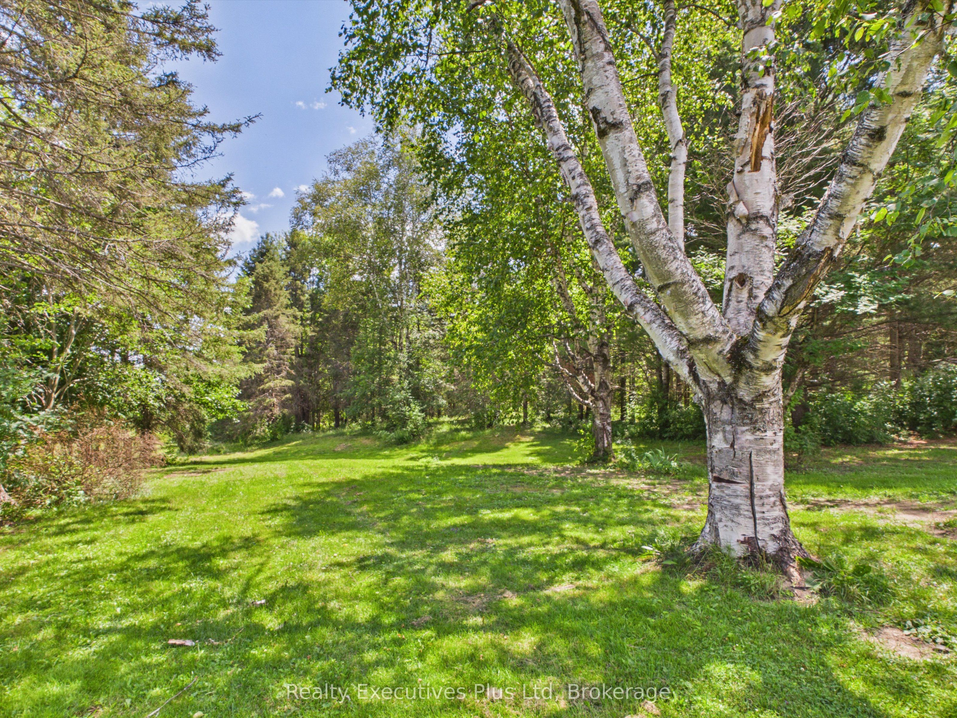 29 Queen Street Property Photo 46