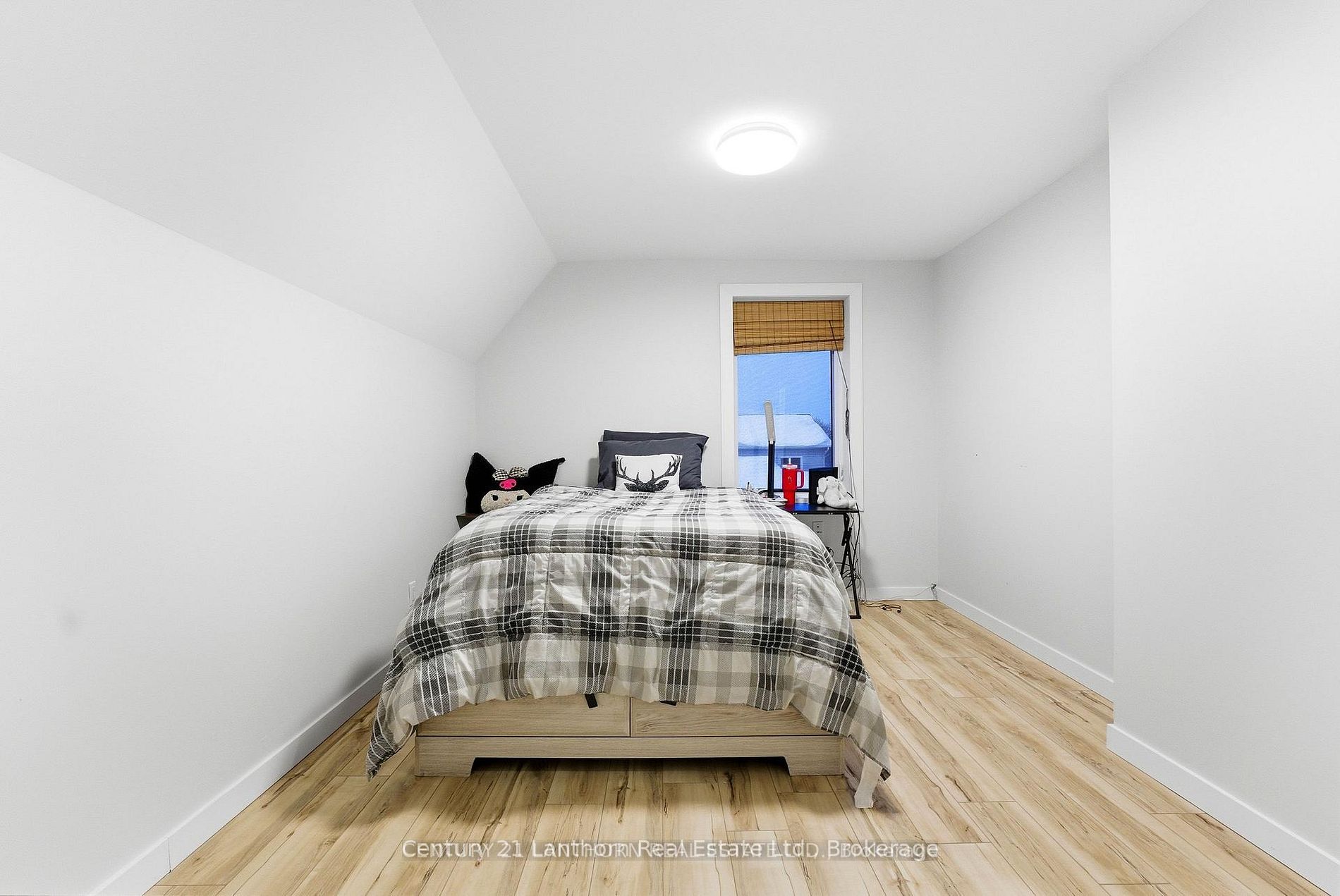 115 Ridley Street Property Photo 25