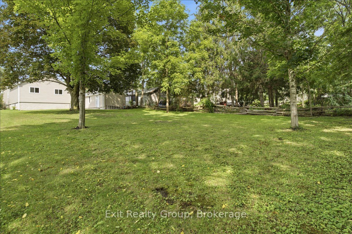 8 Albert Street Property Photo 41