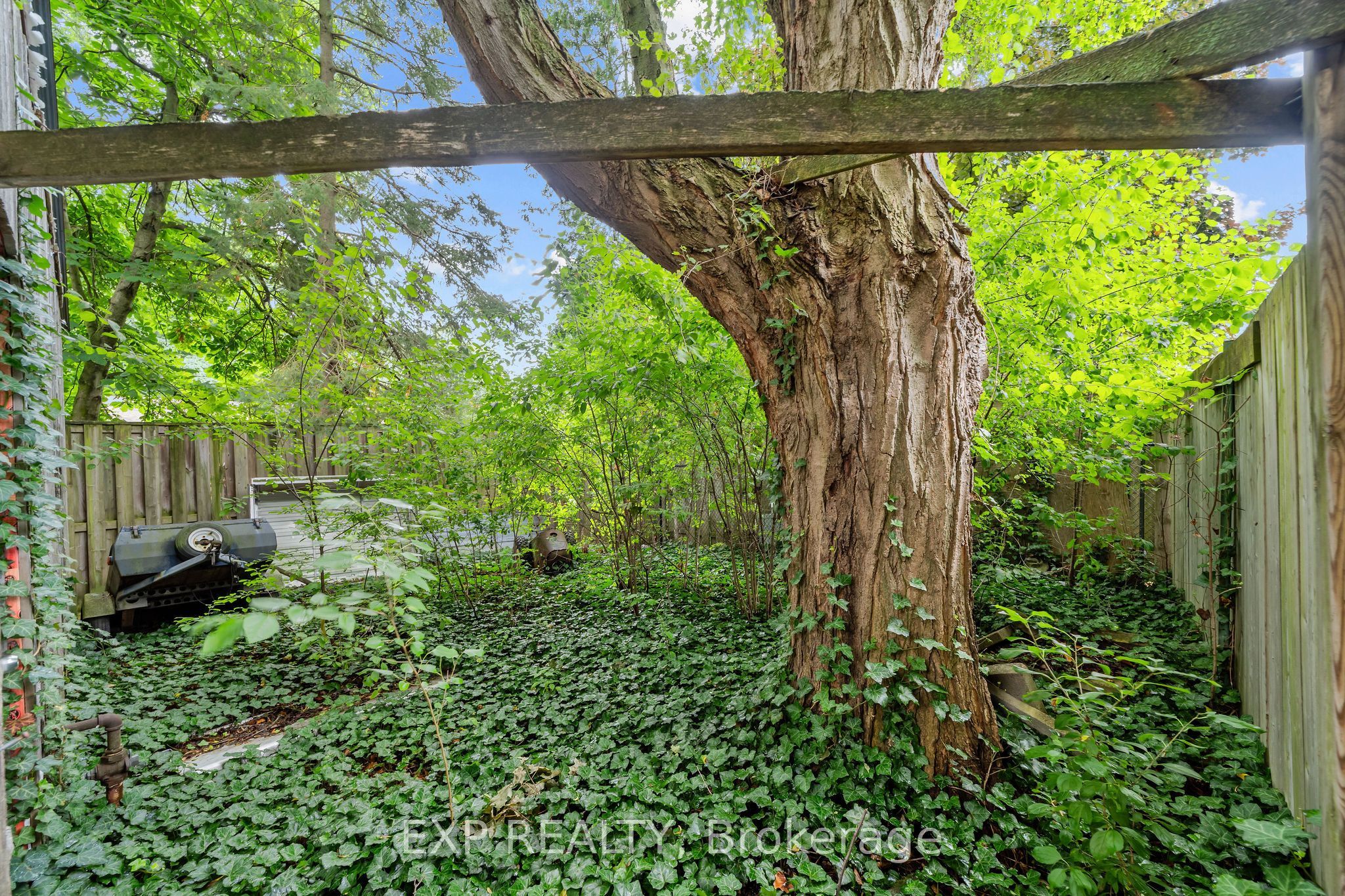 42 Queen Mary Crescent Property Photo 31