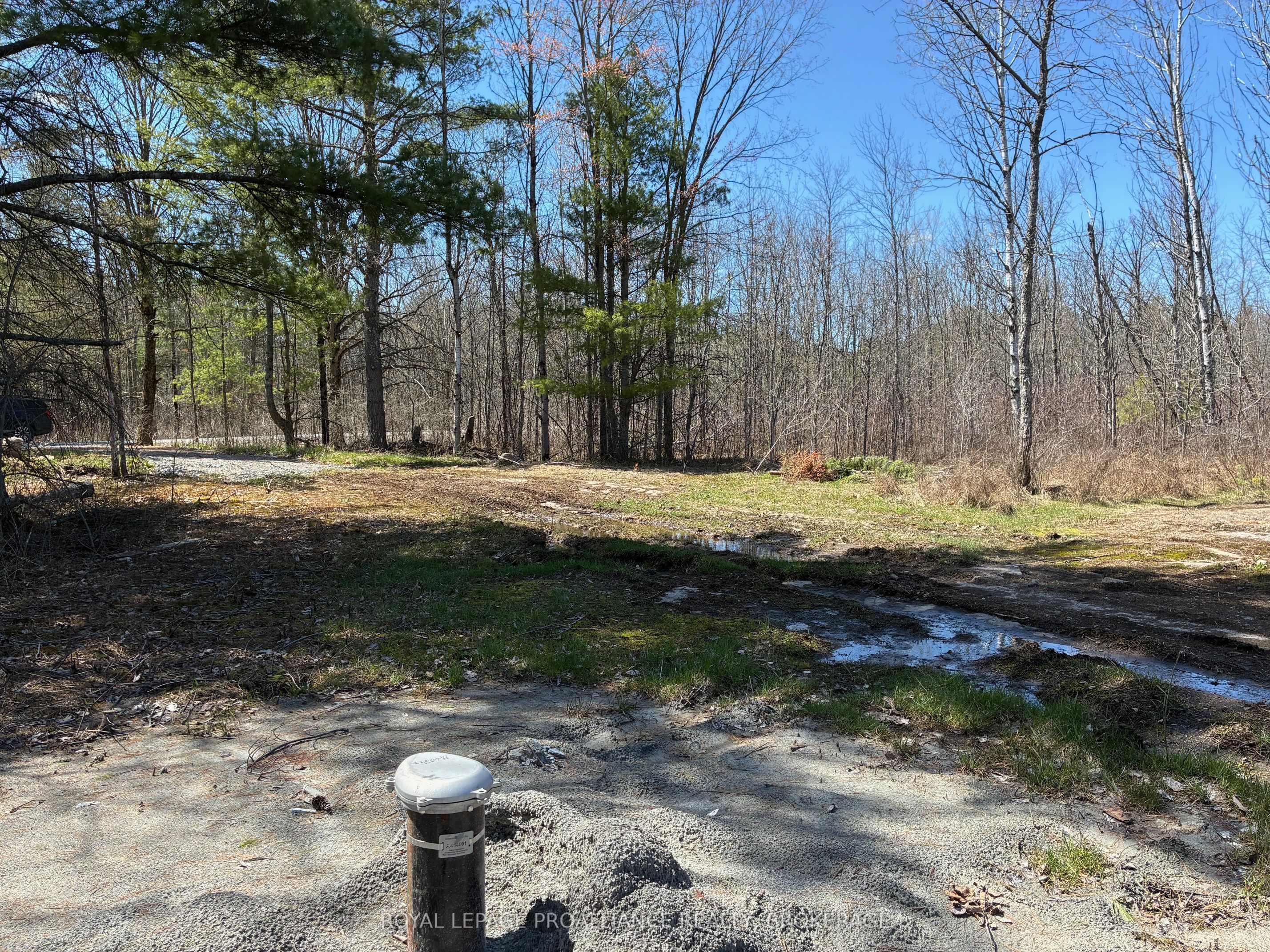 Lot 3 Leveque Road Property Photo 4
