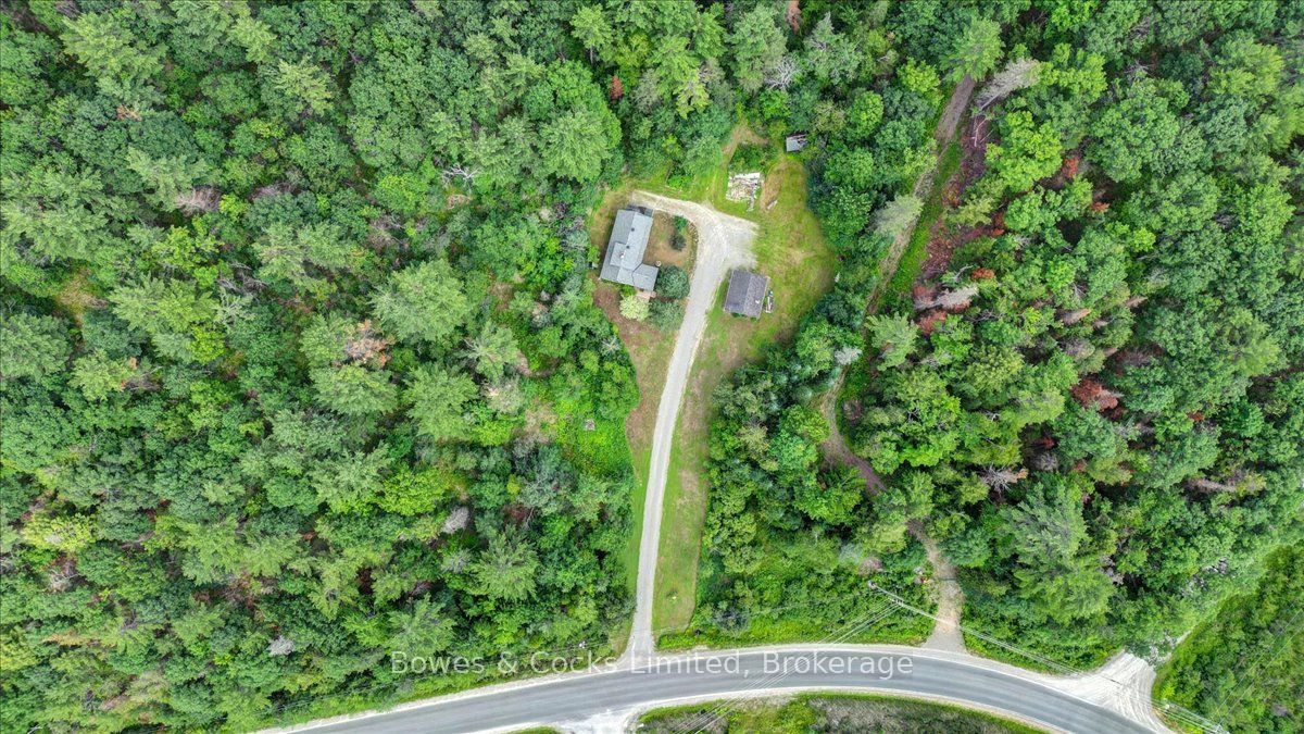 89 Jack Lake Road Property Photo 45