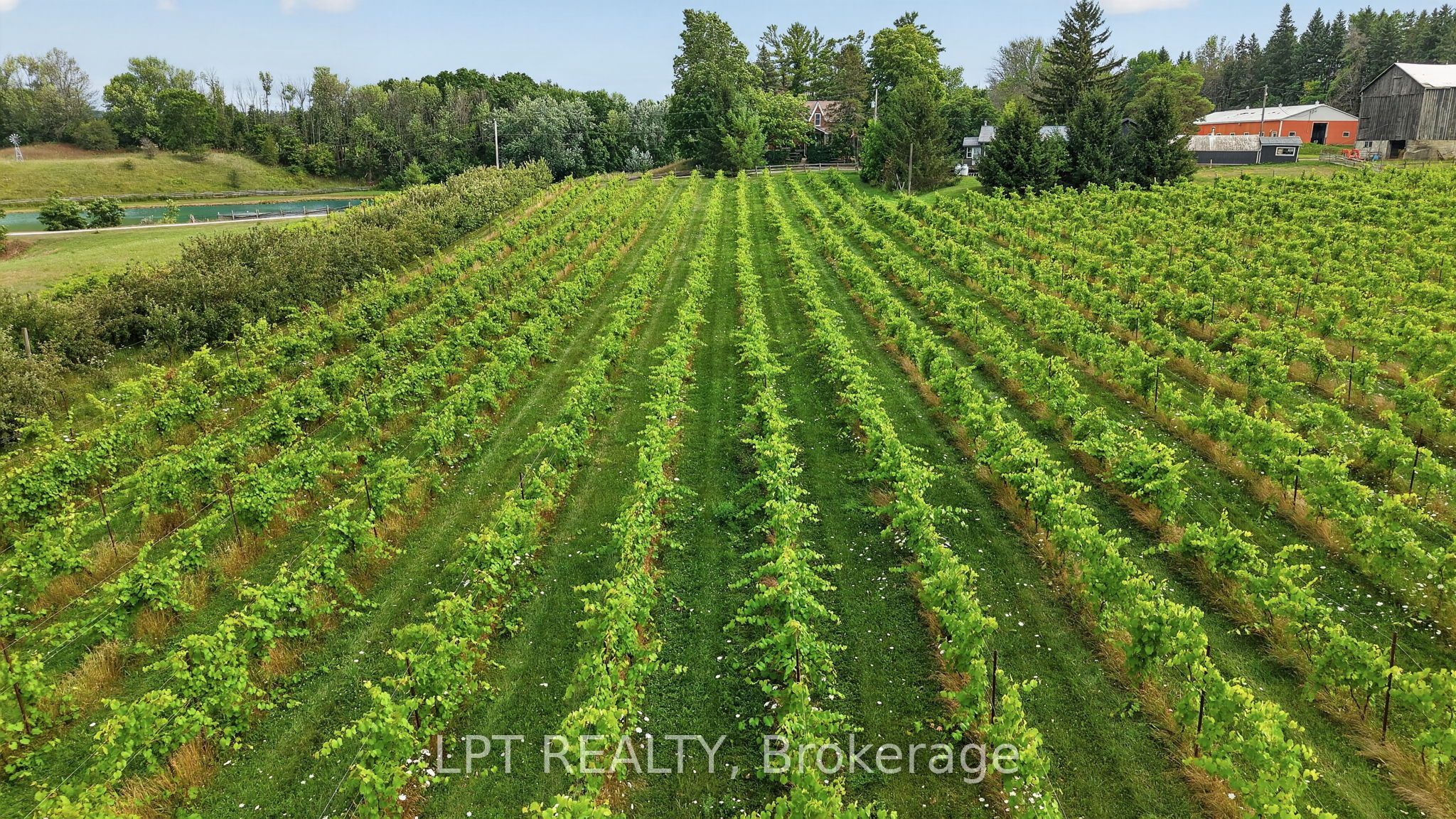 416476 10th Line S Property Photo 49