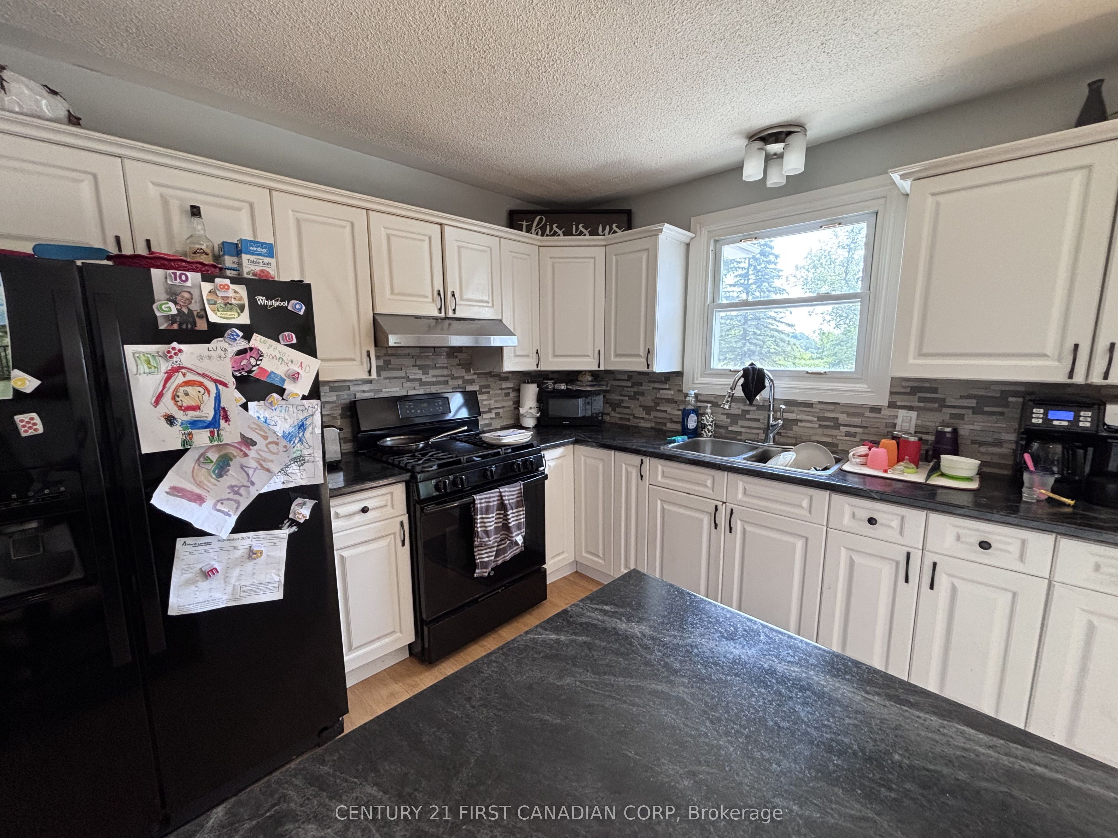 8319 Goosemarsh Line Property Photo 17
