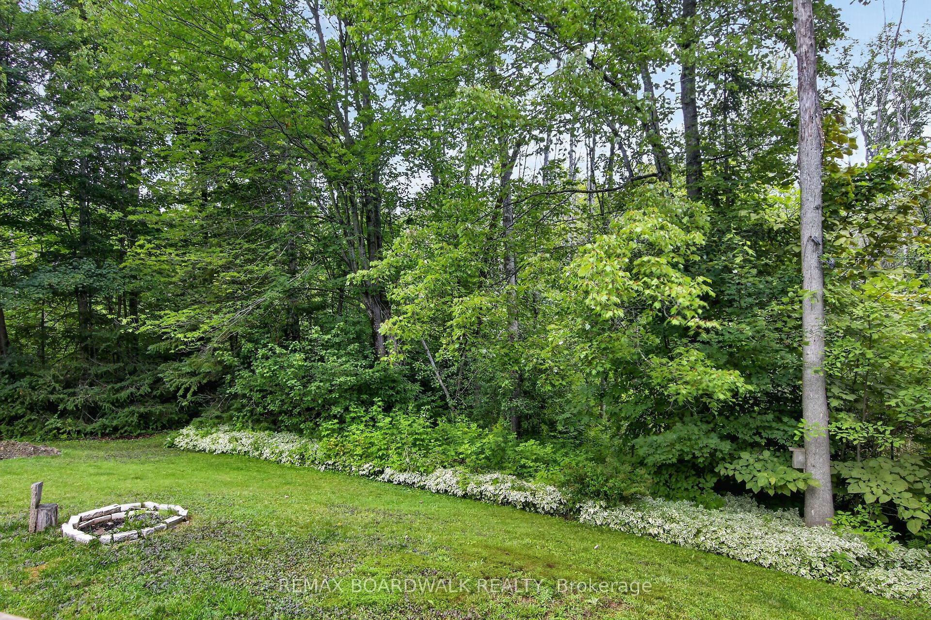 182 Dewar Side Road Property Photo 47