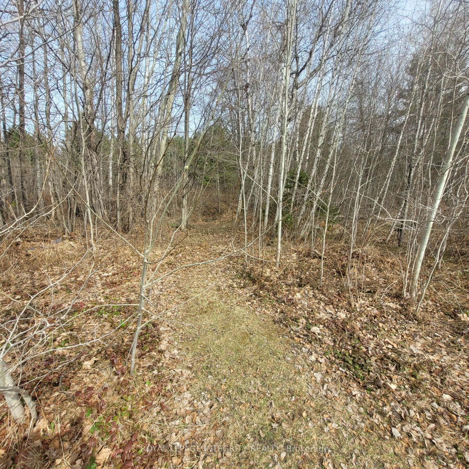 53 Beaver Lane Property Photo 29