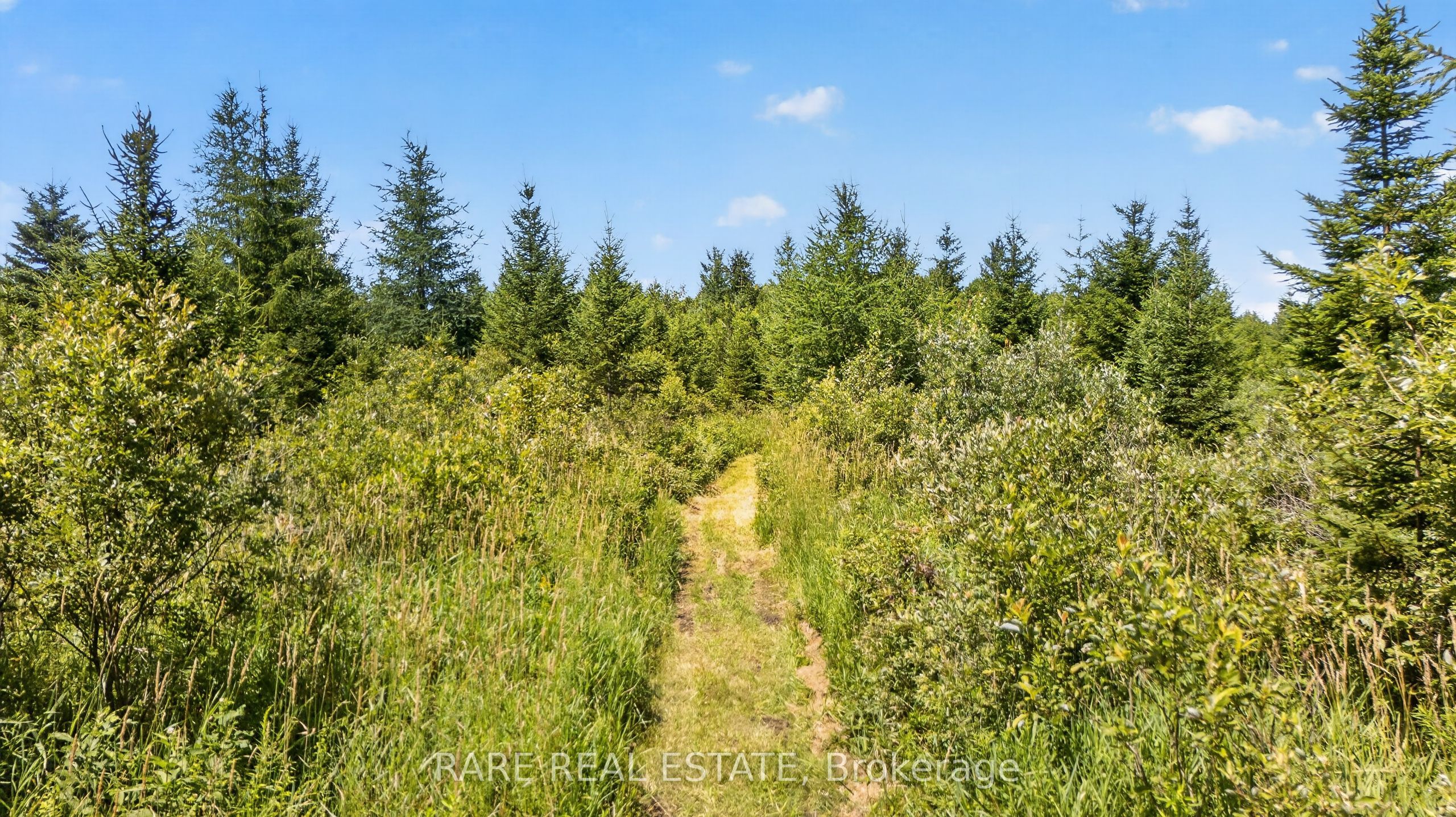 313026 Sideroad 35 Side Road Property Photo 42