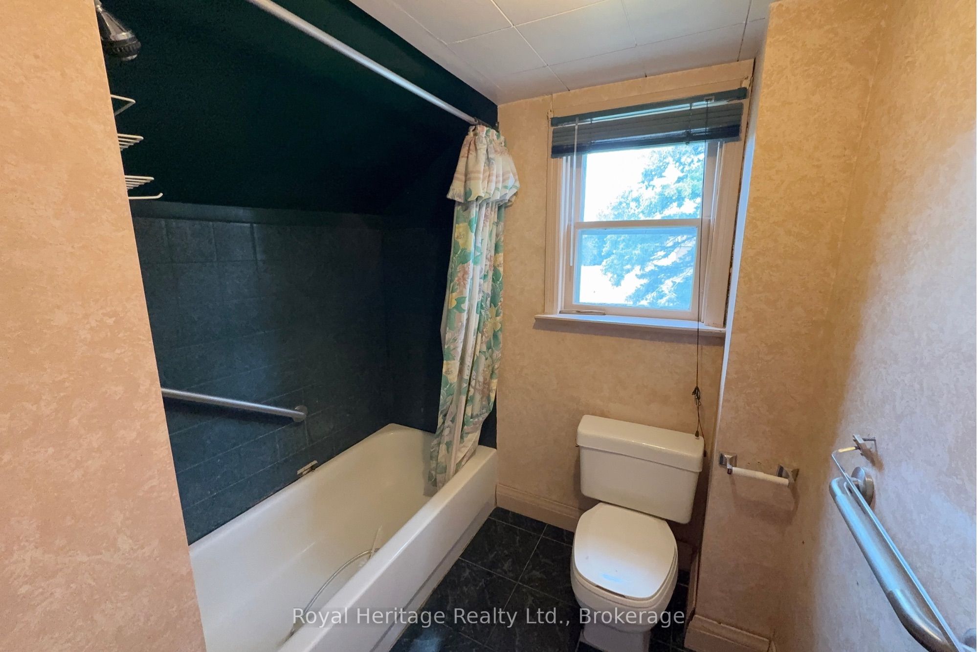 12 Dufferin Street Property Photo 29