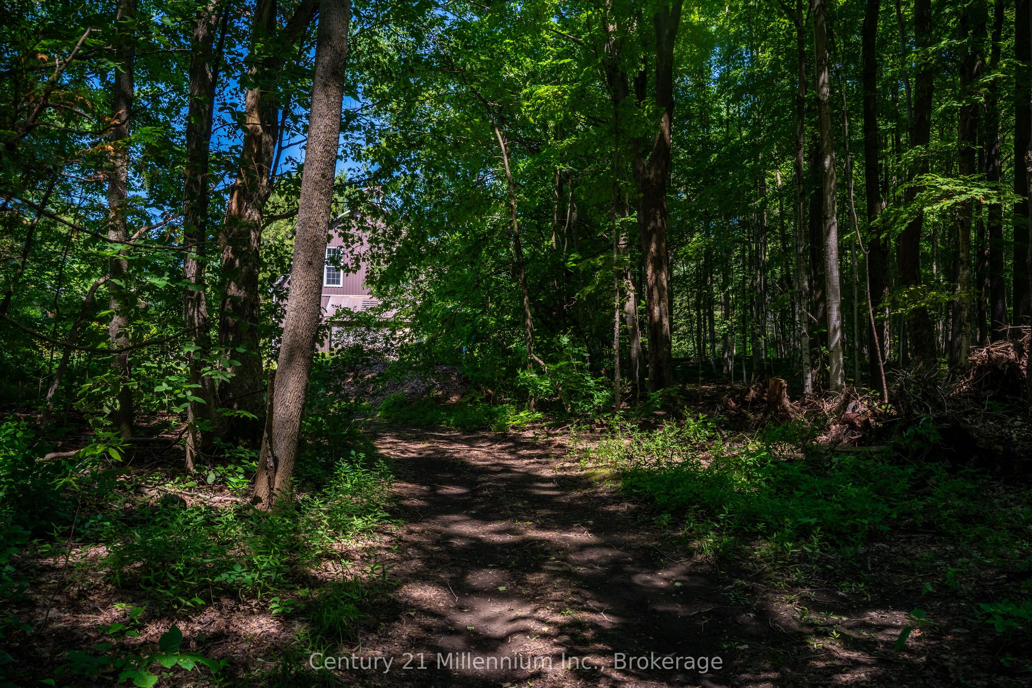 414616 Baseline Road Property Photo 13