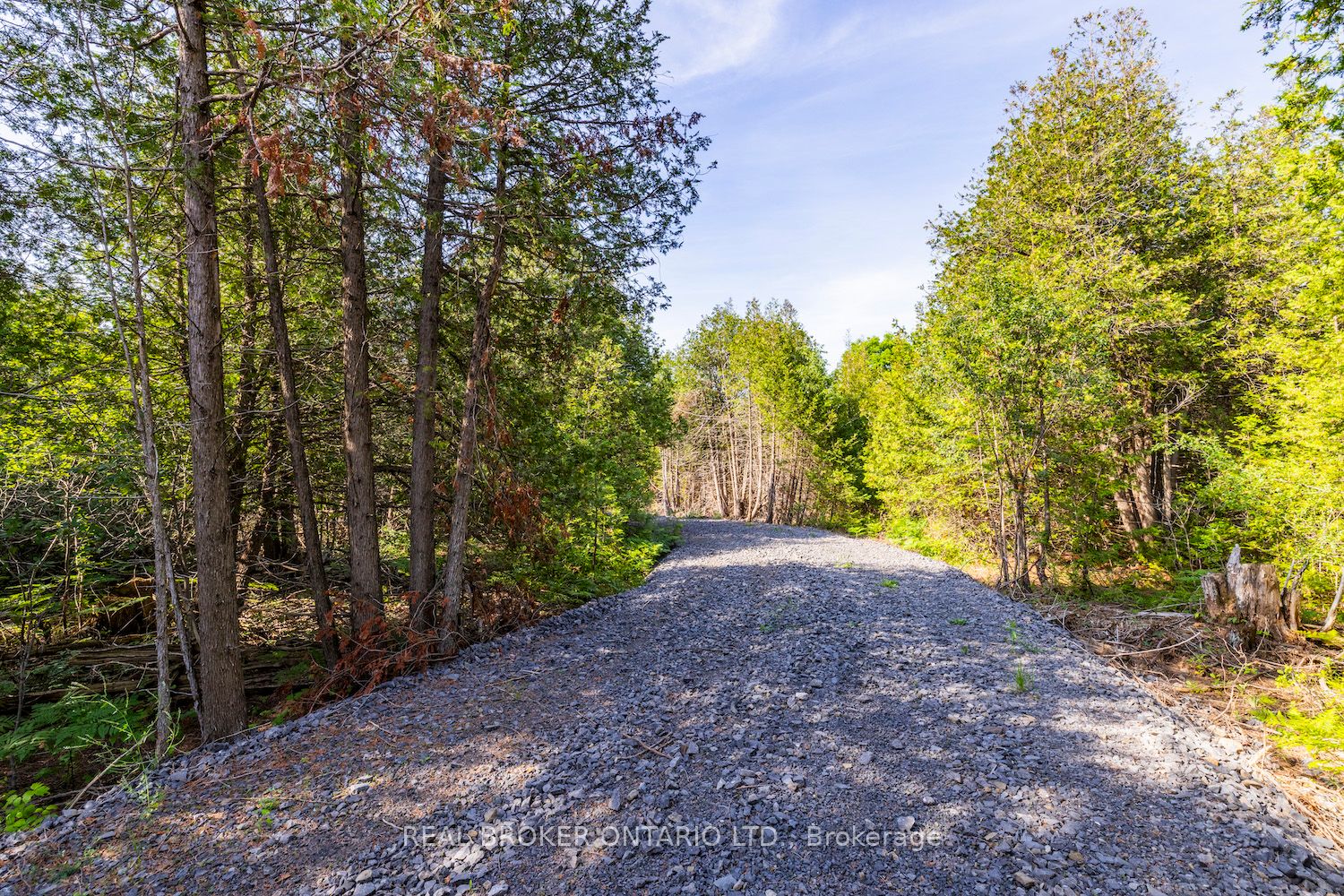 Lot 3 Kyle Road Property Photo 4