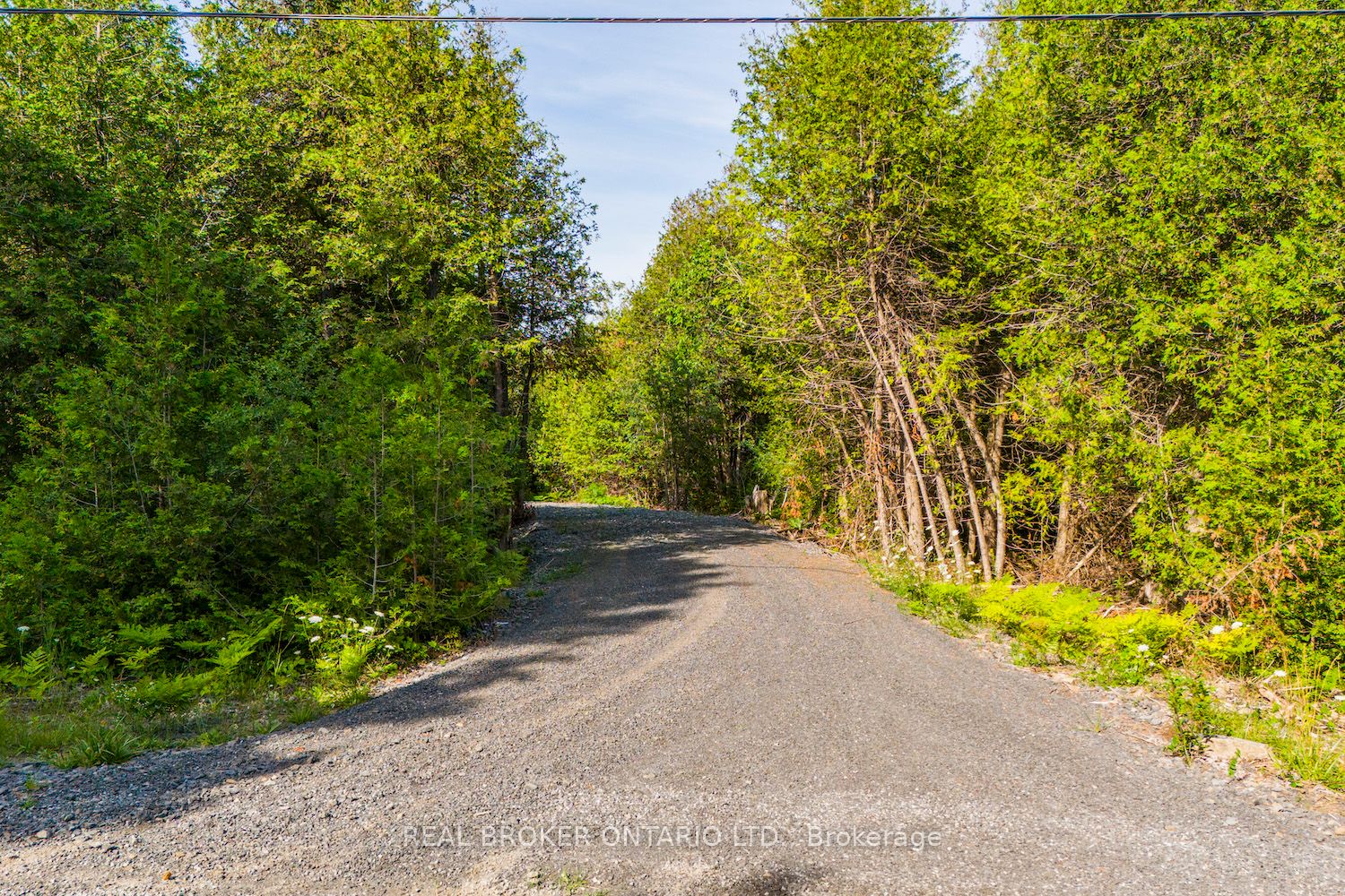 Lot 3 Kyle Road Property Photo 5