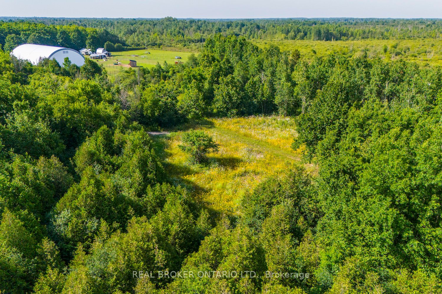 Lot 3 Kyle Road Property Photo 11