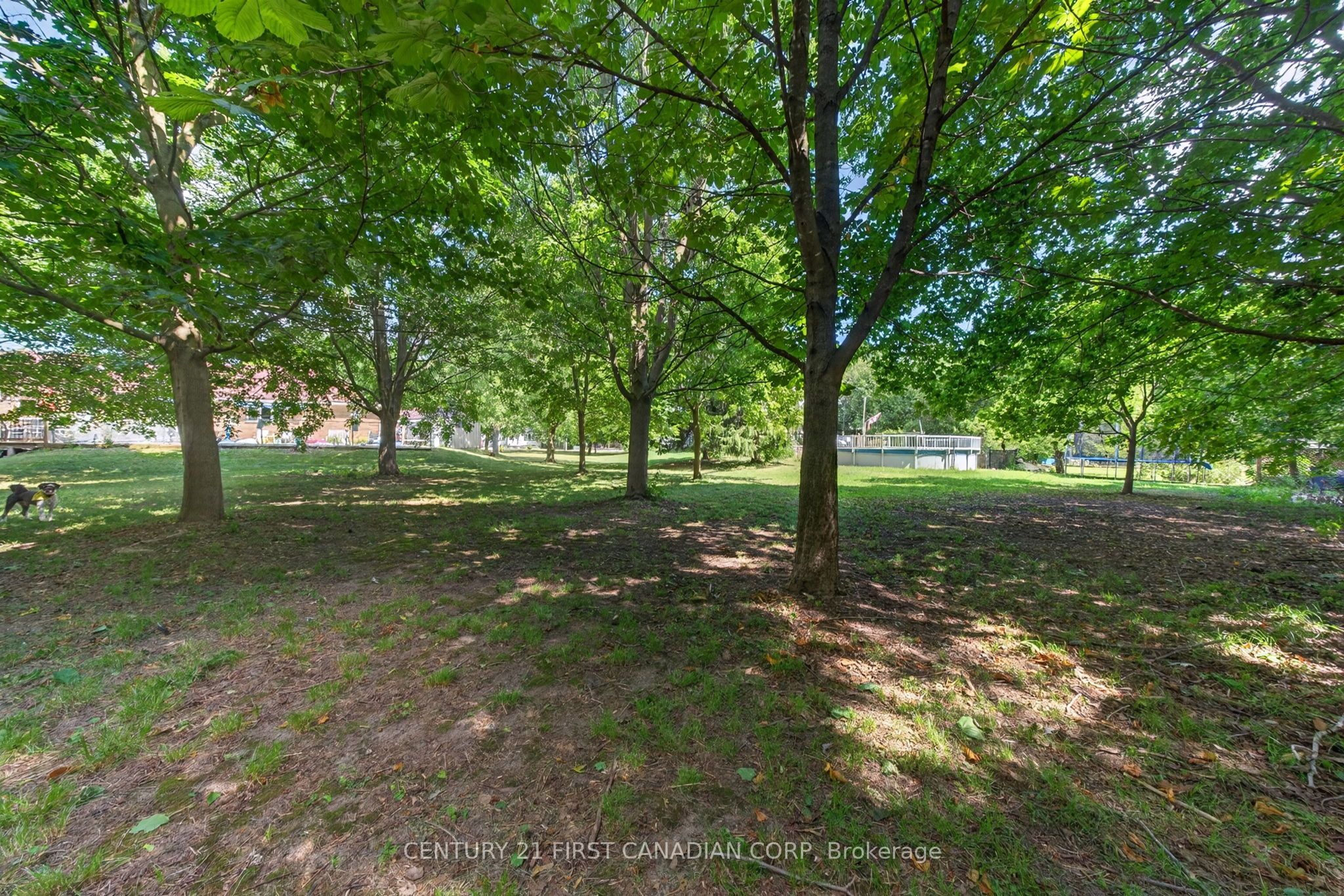 157 Princess Street Property Photo 7