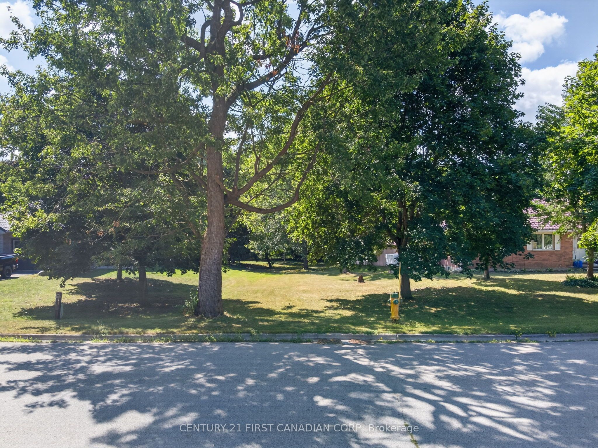 157 Princess Street Property Photo 9