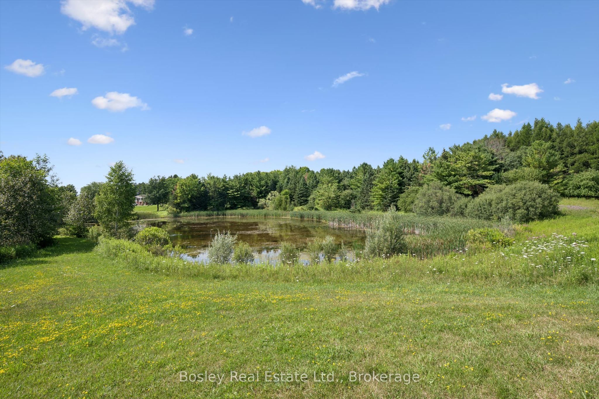 5049 Third Line Property Photo 34