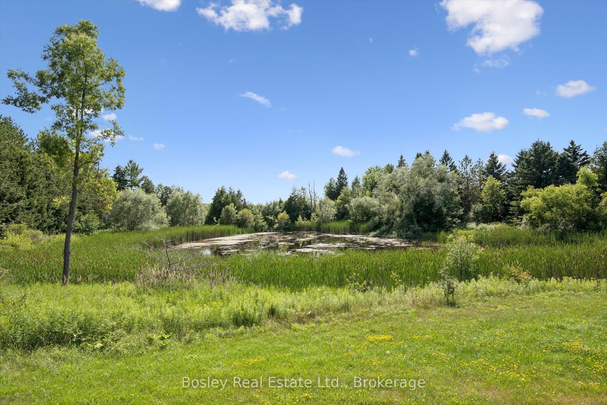 5049 Third Line Property Photo 35