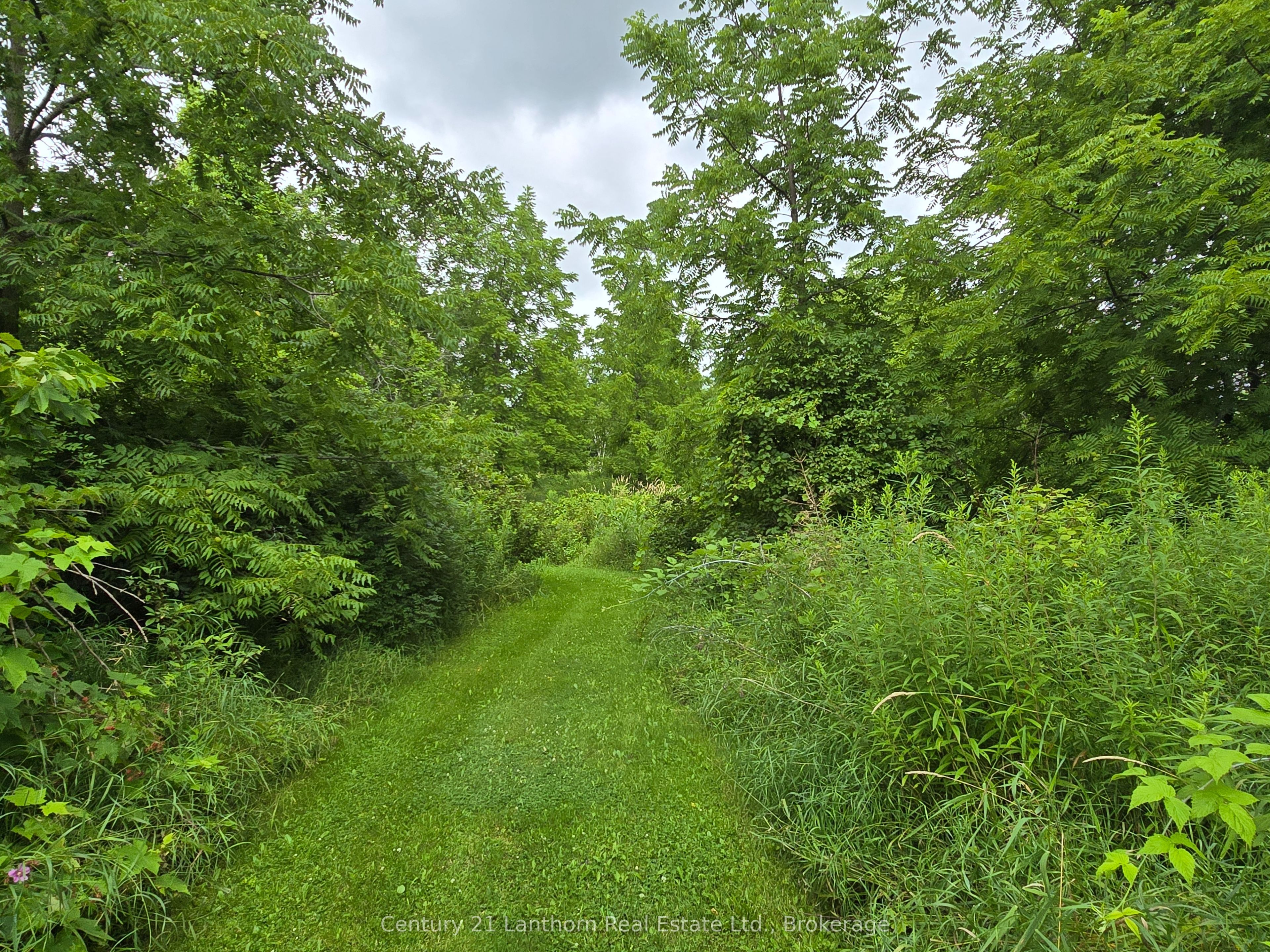 448 Harrington Road Property Photo 35
